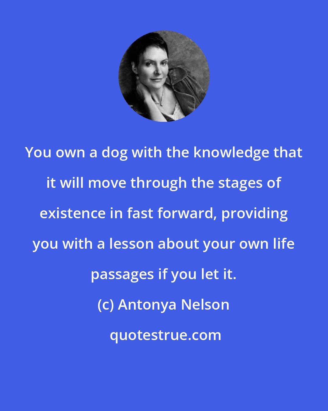 Antonya Nelson: You own a dog with the knowledge that it will move through the stages of existence in fast forward, providing you with a lesson about your own life passages if you let it.