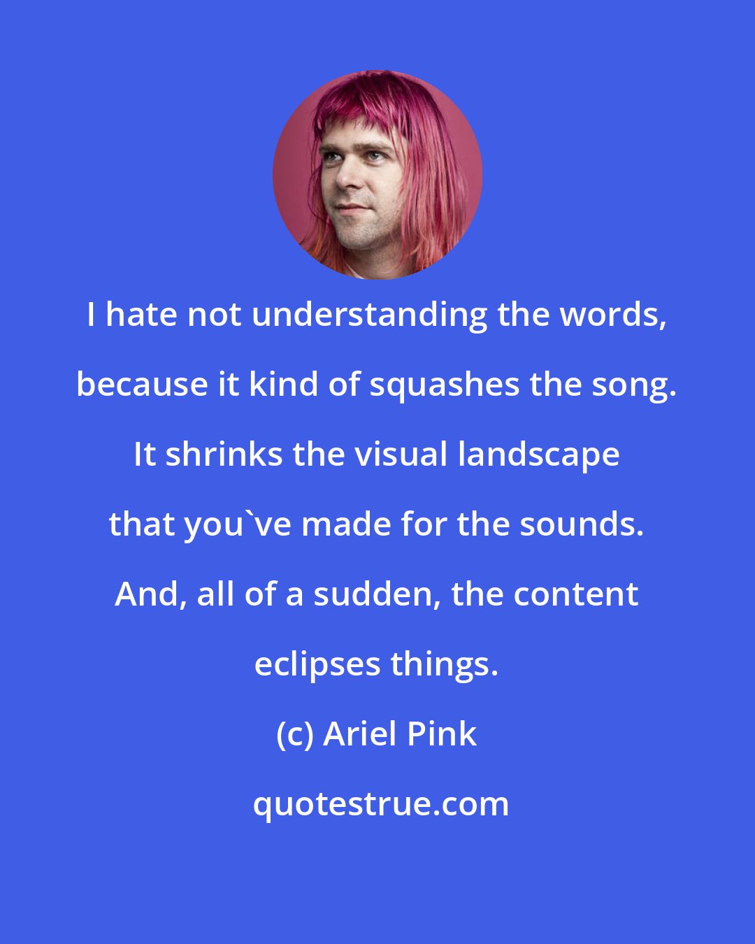 Ariel Pink: I hate not understanding the words, because it kind of squashes the song. It shrinks the visual landscape that you've made for the sounds. And, all of a sudden, the content eclipses things.