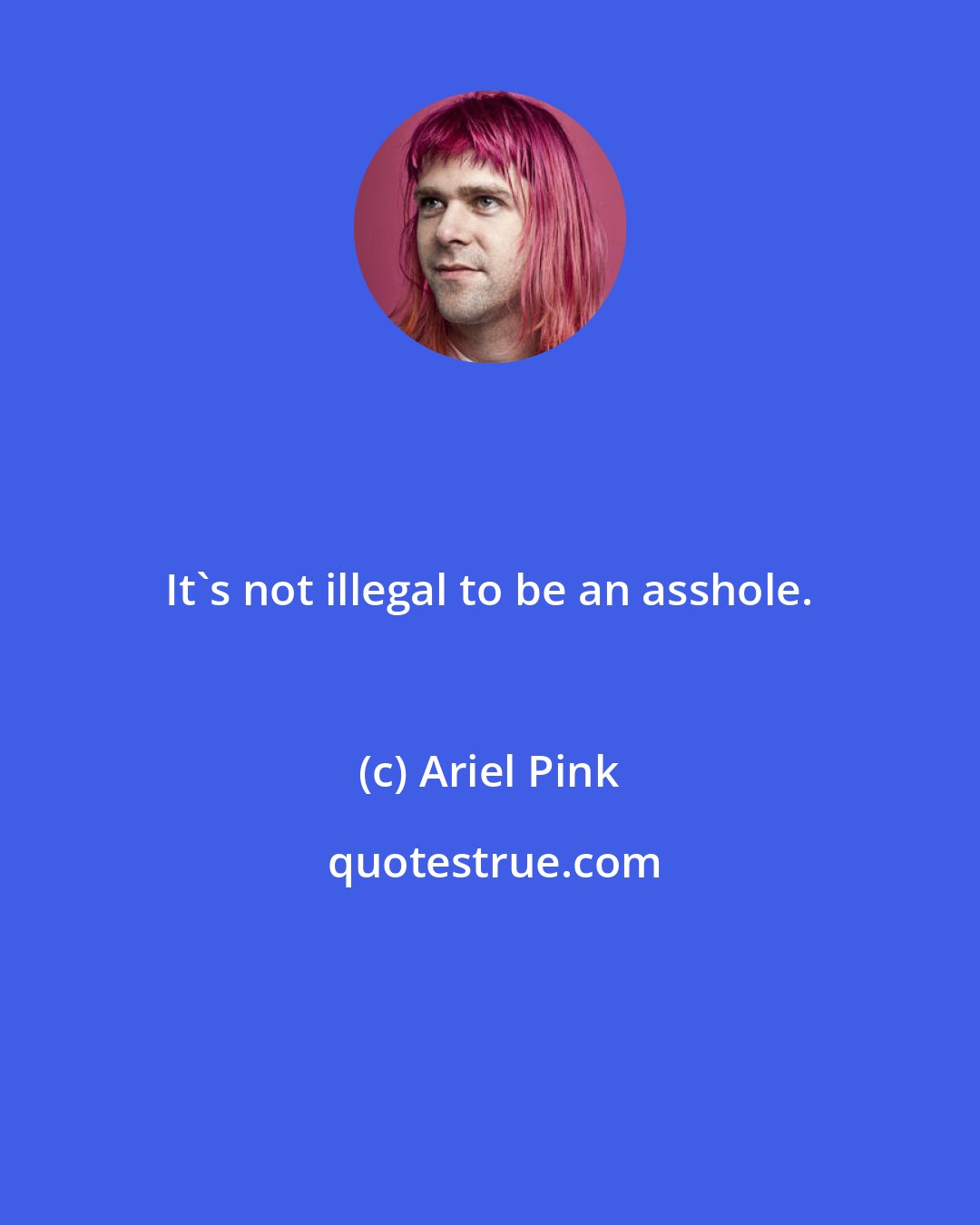 Ariel Pink: It's not illegal to be an asshole.