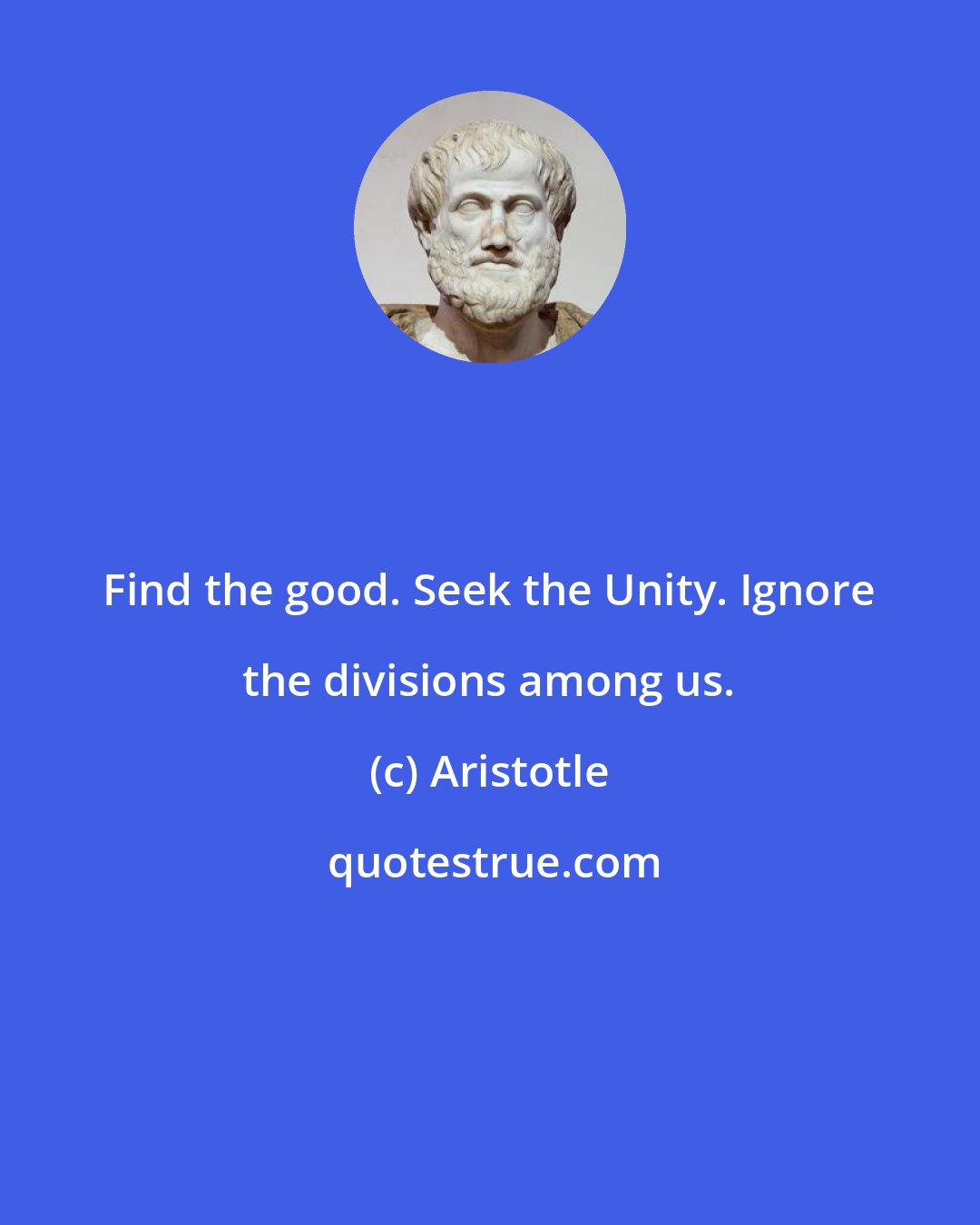 Aristotle: Find the good. Seek the Unity. Ignore the divisions among us.