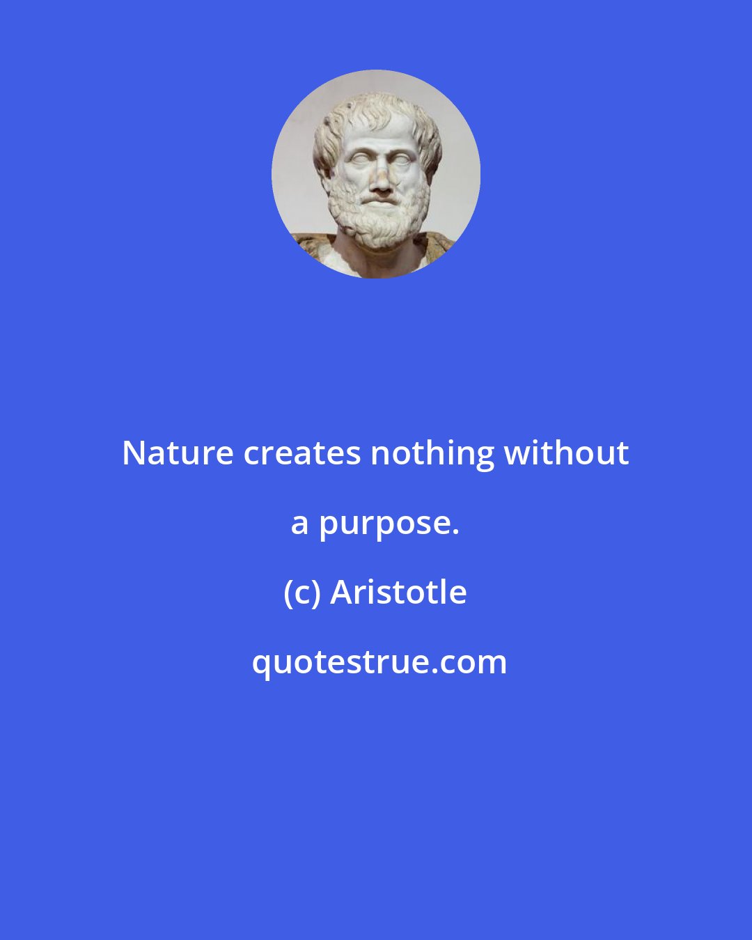 Aristotle: Nature creates nothing without a purpose.