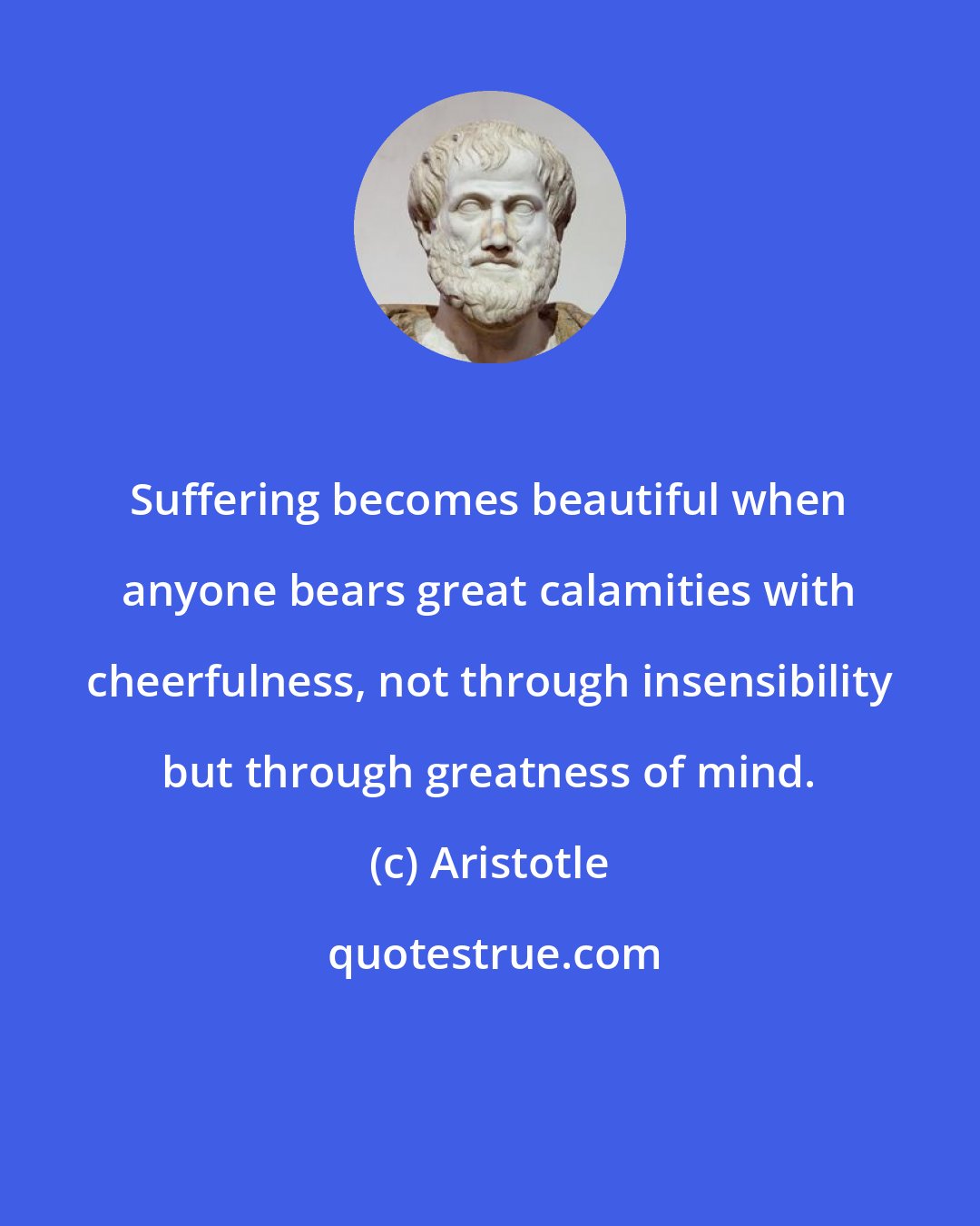 Aristotle: Suffering becomes beautiful when anyone bears great calamities with cheerfulness, not through insensibility but through greatness of mind.