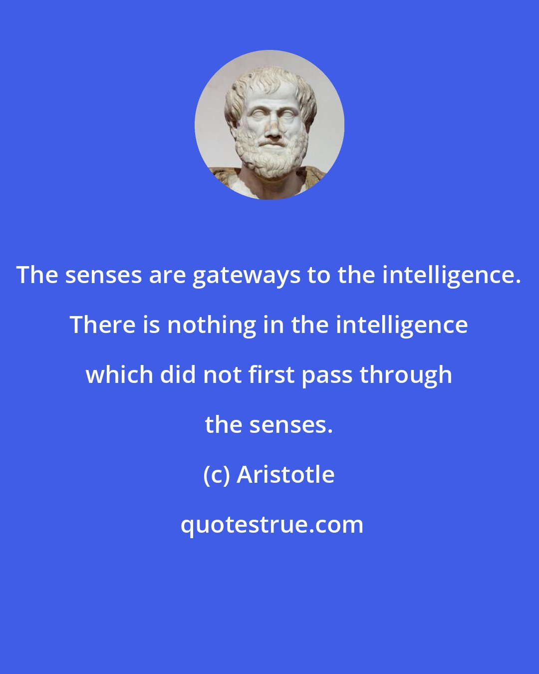 Aristotle: The senses are gateways to the intelligence. There is nothing in the intelligence which did not first pass through the senses.