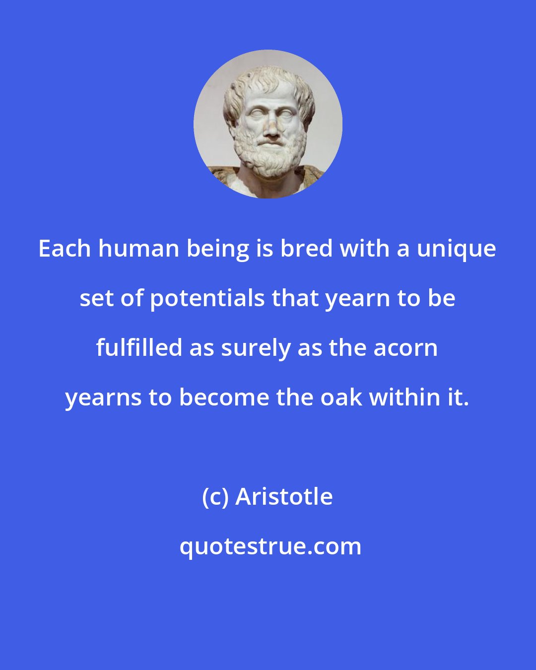 Aristotle: Each human being is bred with a unique set of potentials that yearn to be fulfilled as surely as the acorn yearns to become the oak within it.