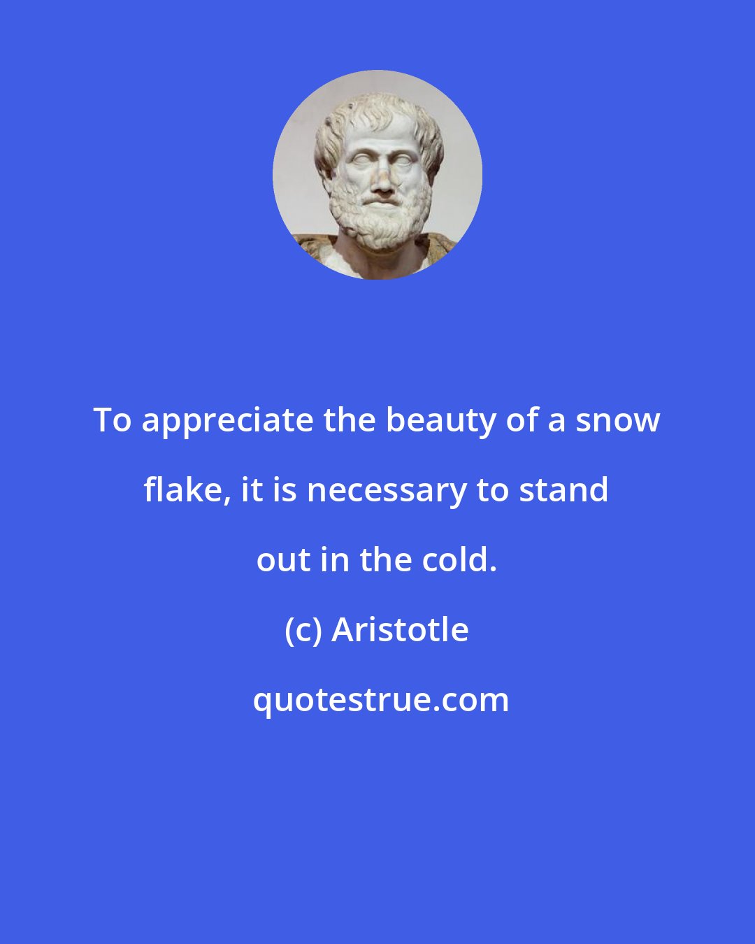 Aristotle: To appreciate the beauty of a snow flake, it is necessary to stand out in the cold.