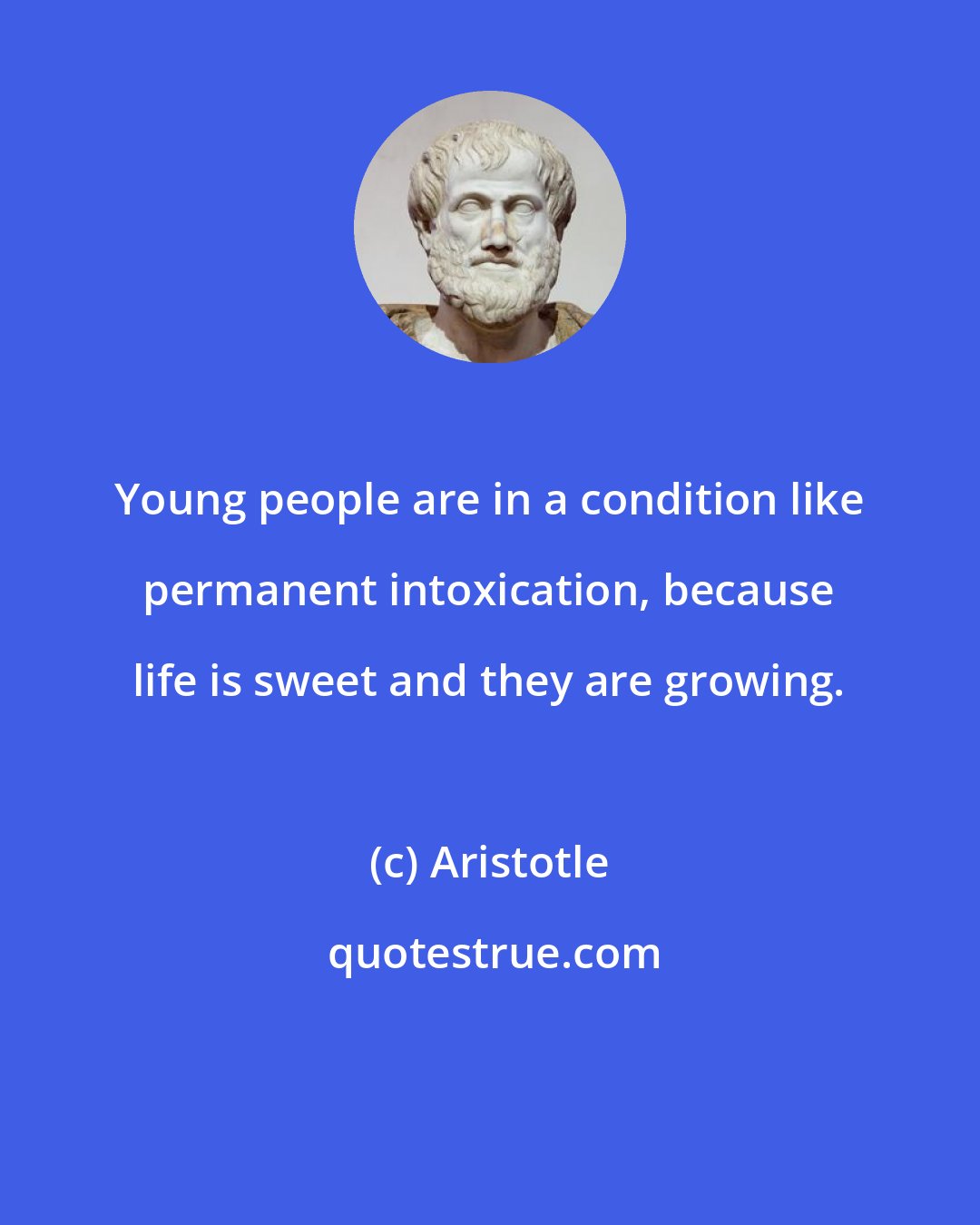 Aristotle: Young people are in a condition like permanent intoxication, because life is sweet and they are growing.