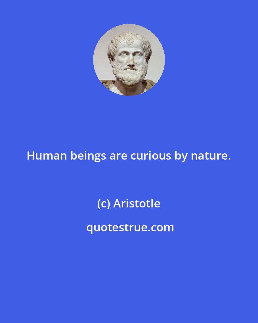 Aristotle: Human beings are curious by nature.