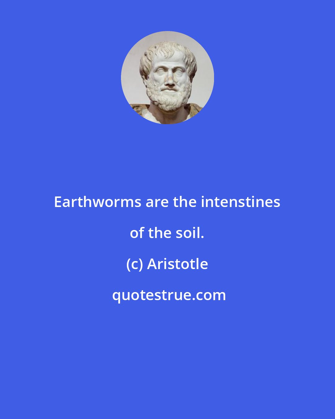 Aristotle: Earthworms are the intenstines of the soil.
