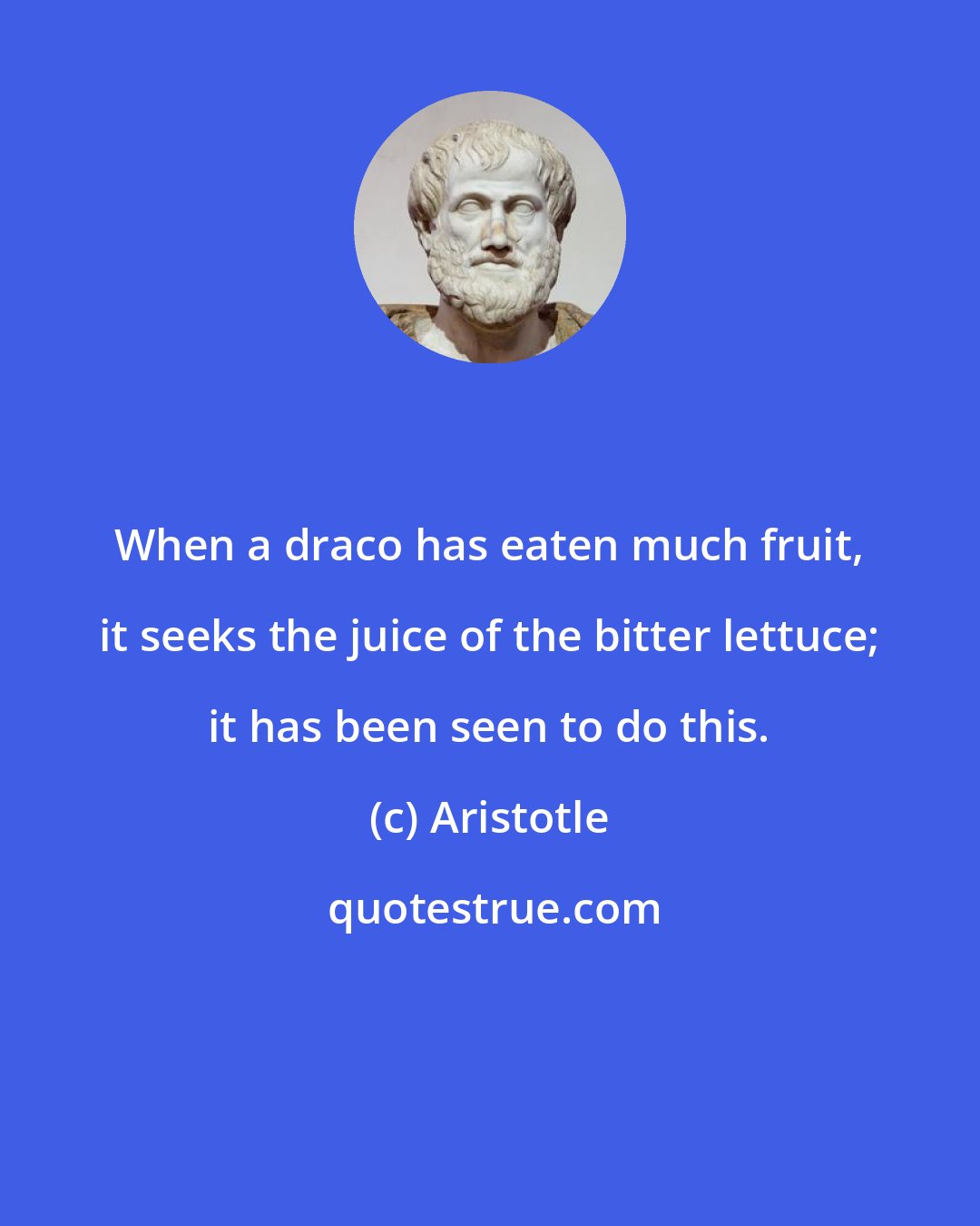 Aristotle: When a draco has eaten much fruit, it seeks the juice of the bitter lettuce; it has been seen to do this.