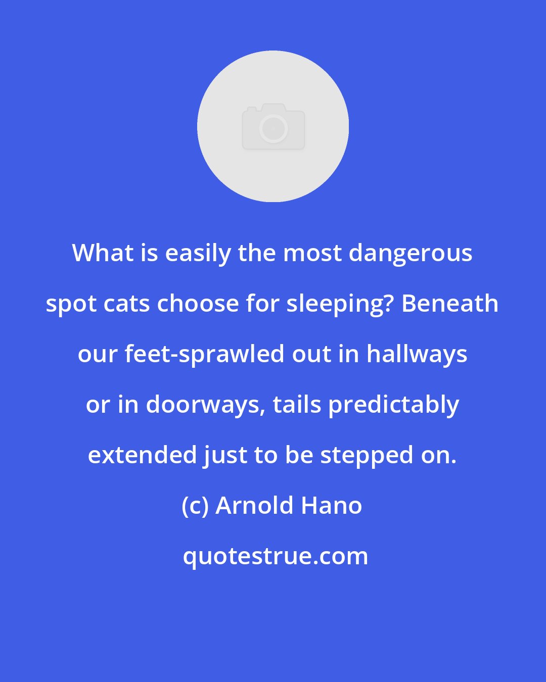 Arnold Hano: What is easily the most dangerous spot cats choose for sleeping? Beneath our feet-sprawled out in hallways or in doorways, tails predictably extended just to be stepped on.