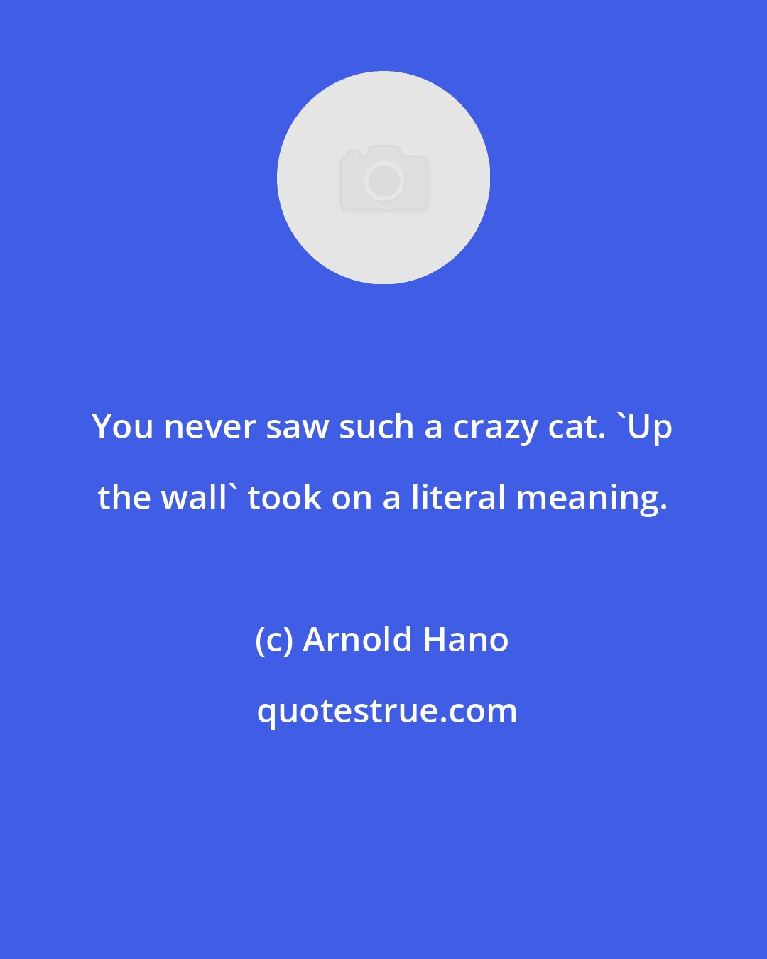 Arnold Hano: You never saw such a crazy cat. 'Up the wall' took on a literal meaning.