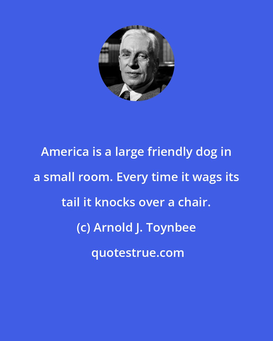 Arnold J. Toynbee: America is a large friendly dog in a small room. Every time it wags its tail it knocks over a chair.