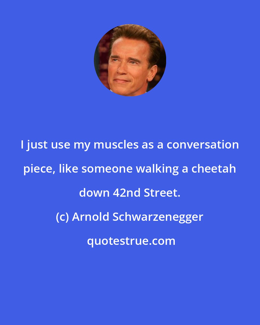 Arnold Schwarzenegger: I just use my muscles as a conversation piece, like someone walking a cheetah down 42nd Street.