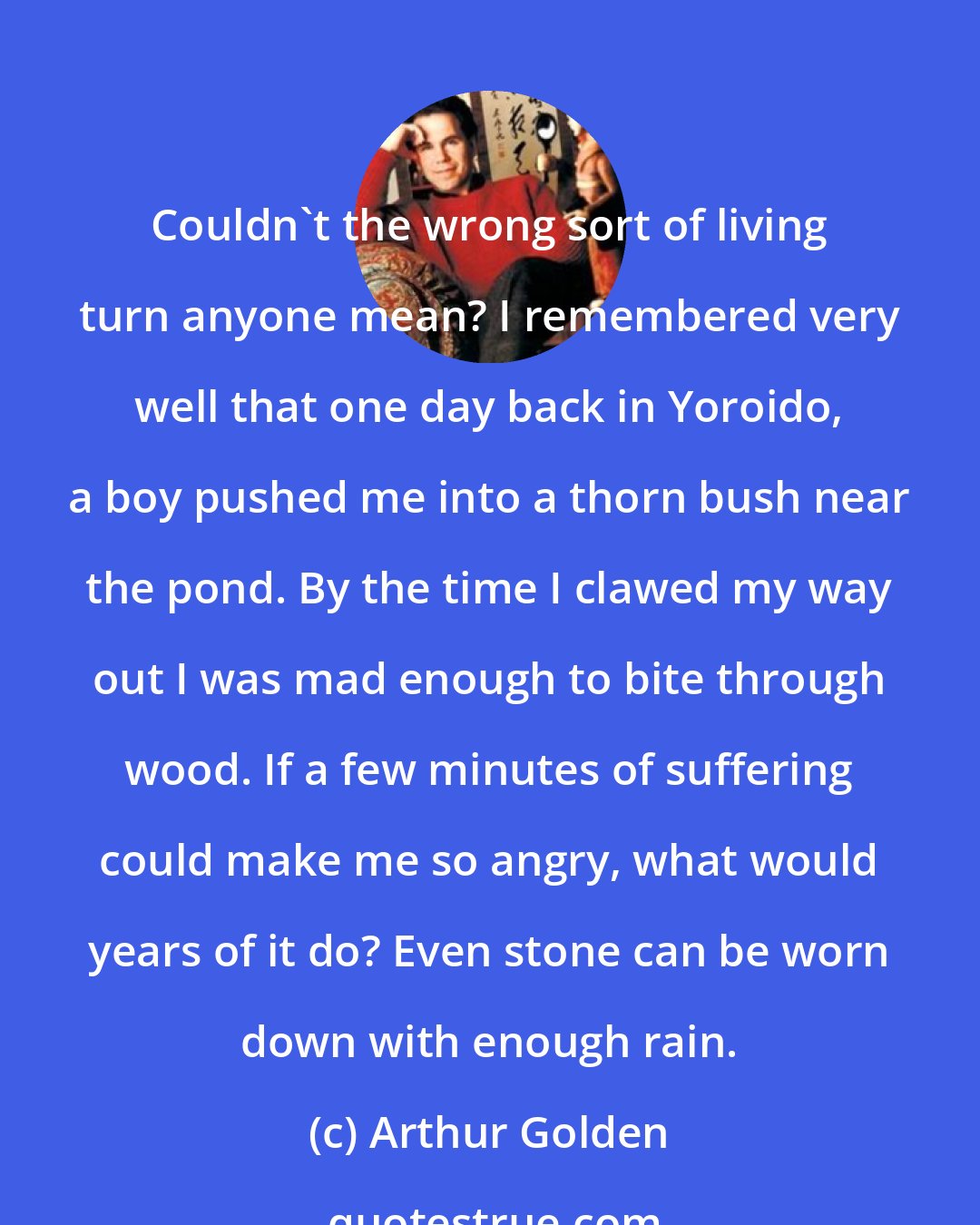 Arthur Golden: Couldn't the wrong sort of living turn anyone mean? I remembered very well that one day back in Yoroido, a boy pushed me into a thorn bush near the pond. By the time I clawed my way out I was mad enough to bite through wood. If a few minutes of suffering could make me so angry, what would years of it do? Even stone can be worn down with enough rain.