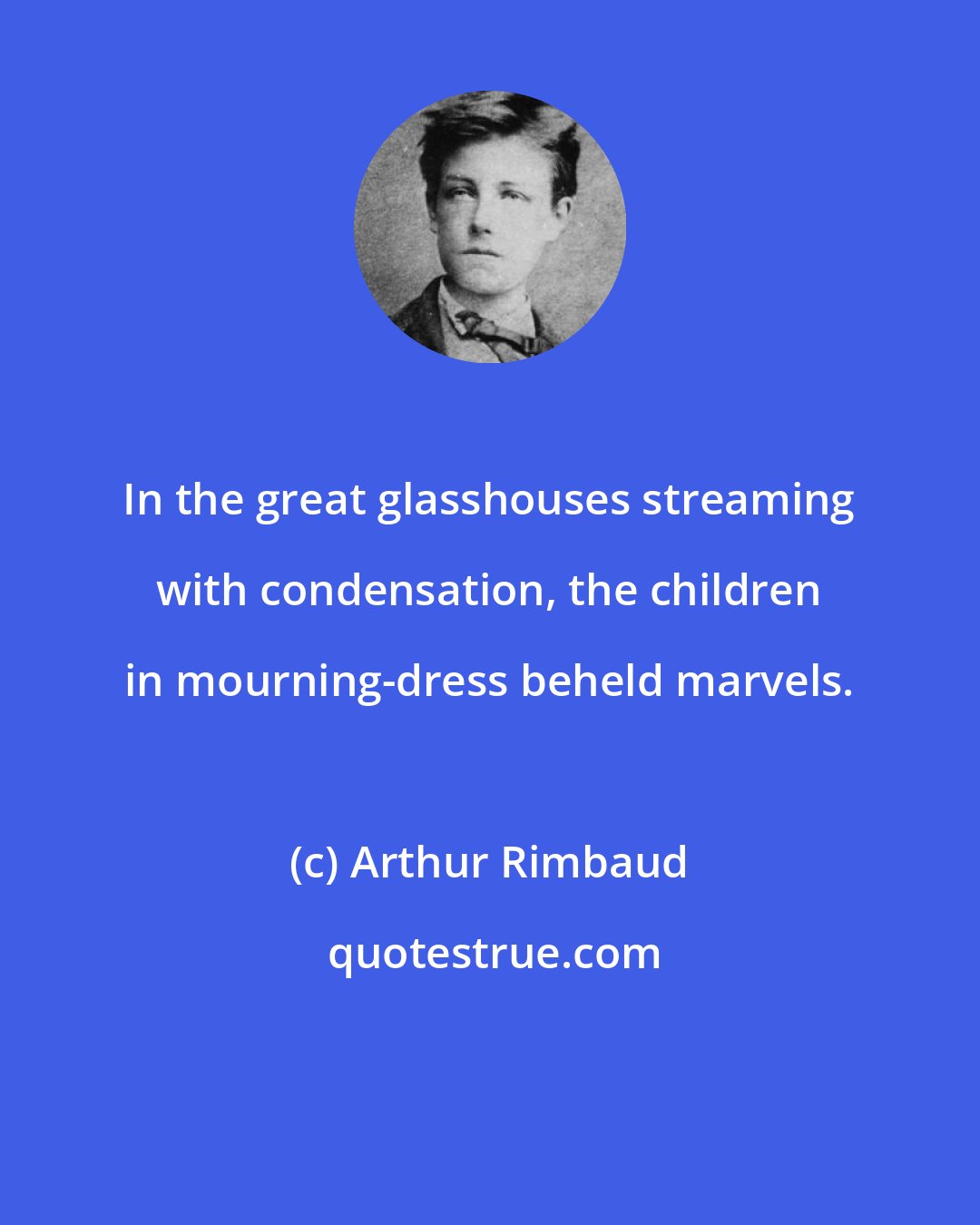 Arthur Rimbaud: In the great glasshouses streaming with condensation, the children in mourning-dress beheld marvels.