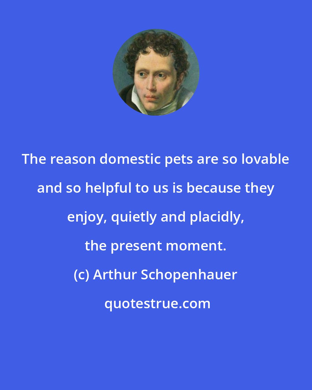 Arthur Schopenhauer: The reason domestic pets are so lovable and so helpful to us is because they enjoy, quietly and placidly, the present moment.