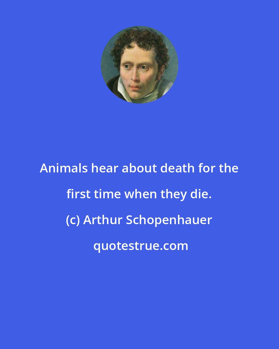 Arthur Schopenhauer: Animals hear about death for the first time when they die.