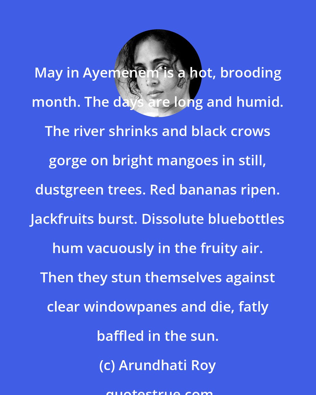 Arundhati Roy: May in Ayemenem is a hot, brooding month. The days are long and humid. The river shrinks and black crows gorge on bright mangoes in still, dustgreen trees. Red bananas ripen. Jackfruits burst. Dissolute bluebottles hum vacuously in the fruity air. Then they stun themselves against clear windowpanes and die, fatly baffled in the sun.