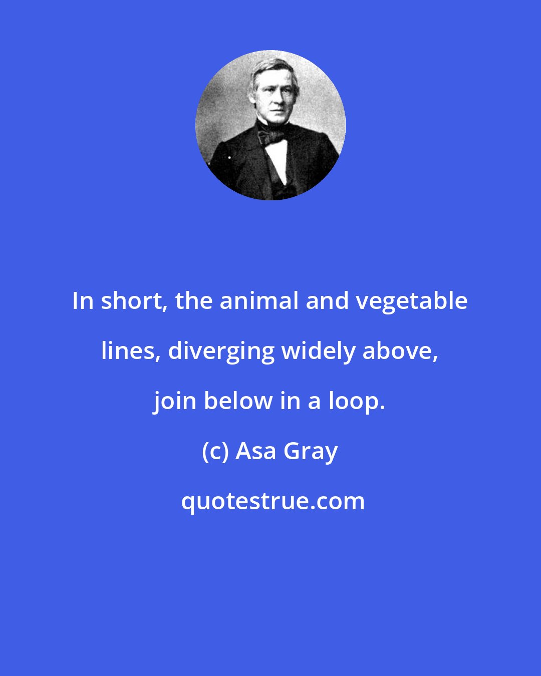 Asa Gray: In short, the animal and vegetable lines, diverging widely above, join below in a loop.