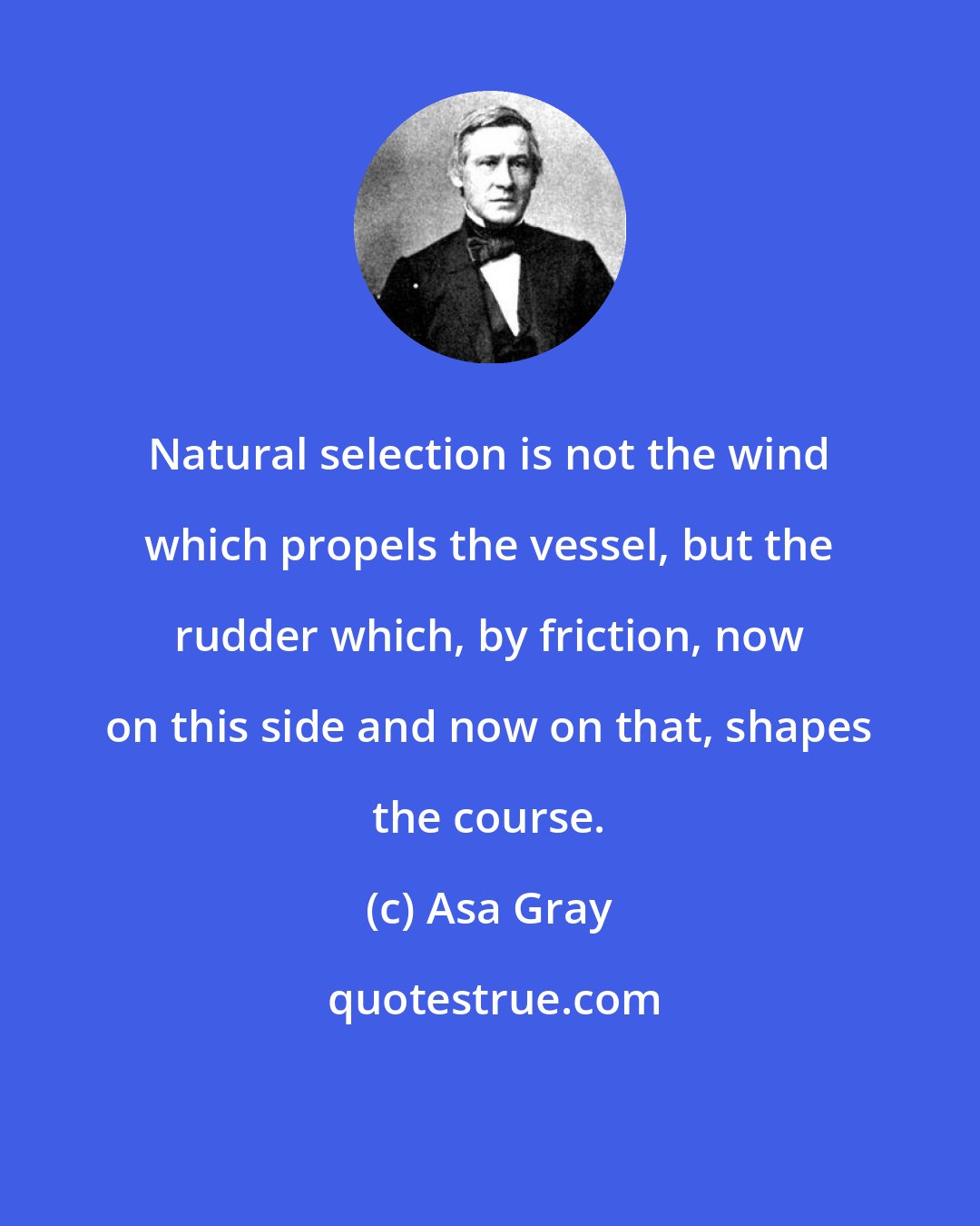 Asa Gray: Natural selection is not the wind which propels the vessel, but the rudder which, by friction, now on this side and now on that, shapes the course.