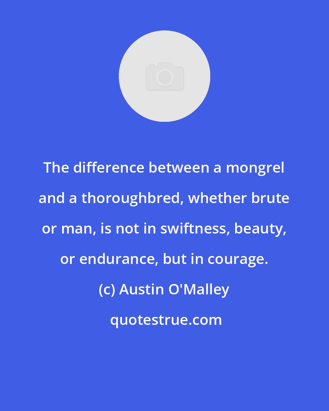 Austin O'Malley: The difference between a mongrel and a thoroughbred, whether brute or man, is not in swiftness, beauty, or endurance, but in courage.