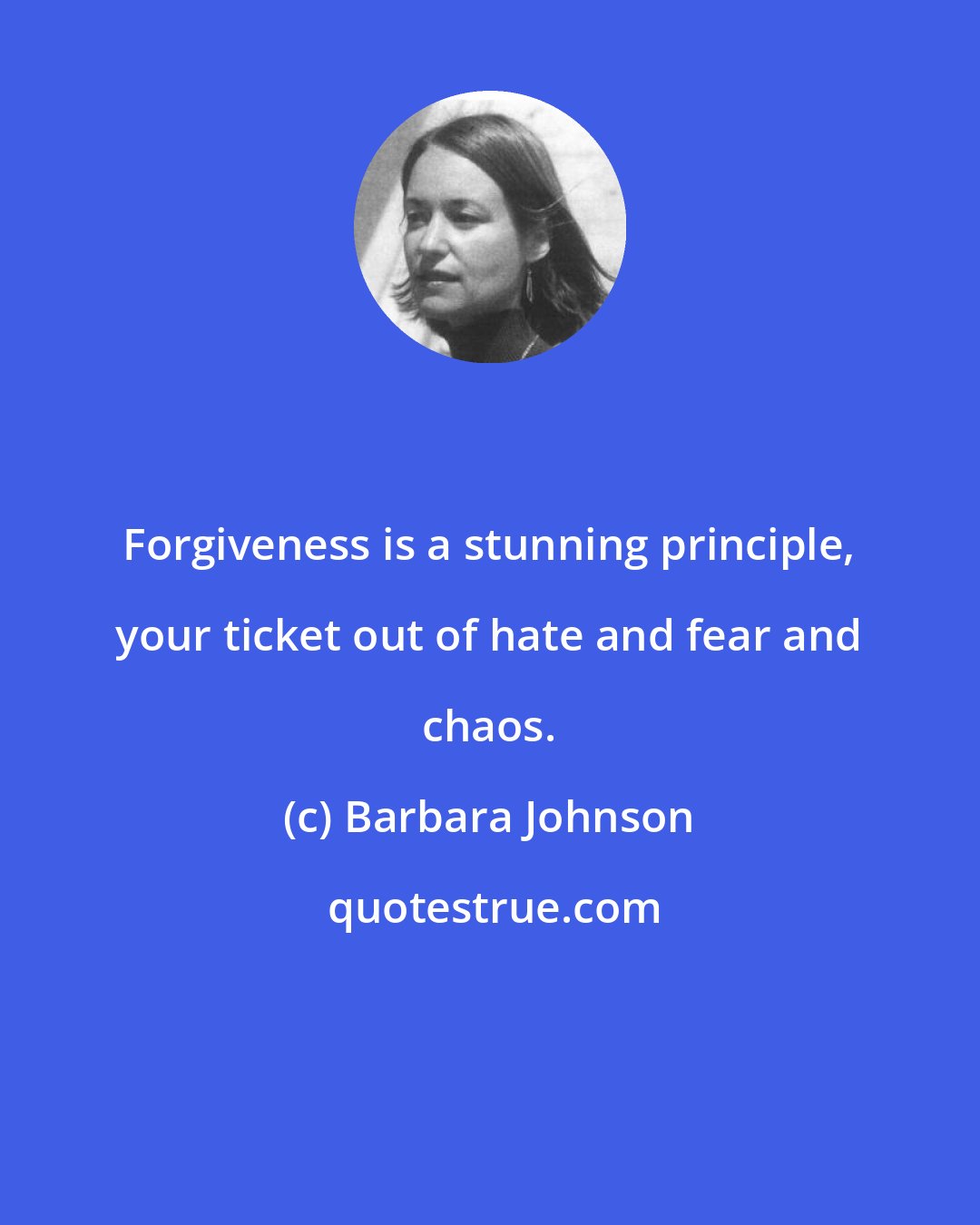 Barbara Johnson: Forgiveness is a stunning principle, your ticket out of hate and fear and chaos.