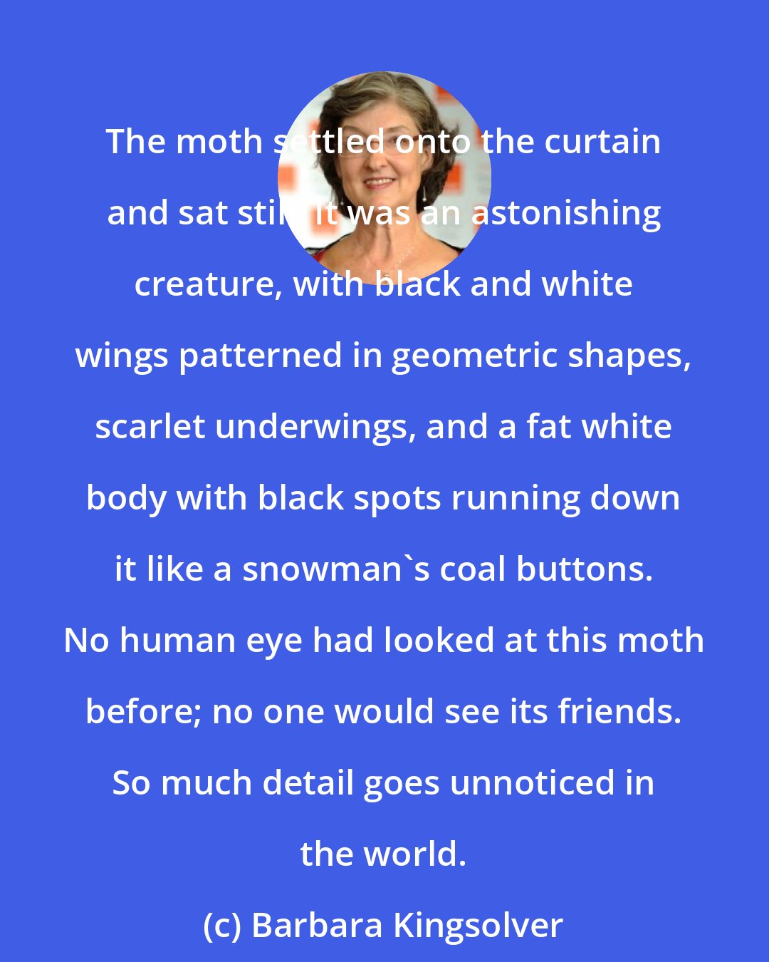 Barbara Kingsolver: The moth settled onto the curtain and sat still. It was an astonishing creature, with black and white wings patterned in geometric shapes, scarlet underwings, and a fat white body with black spots running down it like a snowman's coal buttons. No human eye had looked at this moth before; no one would see its friends. So much detail goes unnoticed in the world.