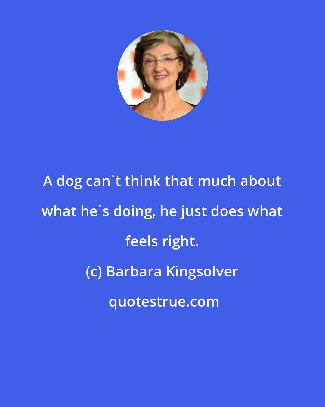 Barbara Kingsolver: A dog can't think that much about what he's doing, he just does what feels right.