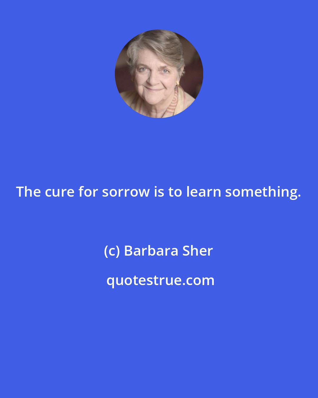 Barbara Sher: The cure for sorrow is to learn something.