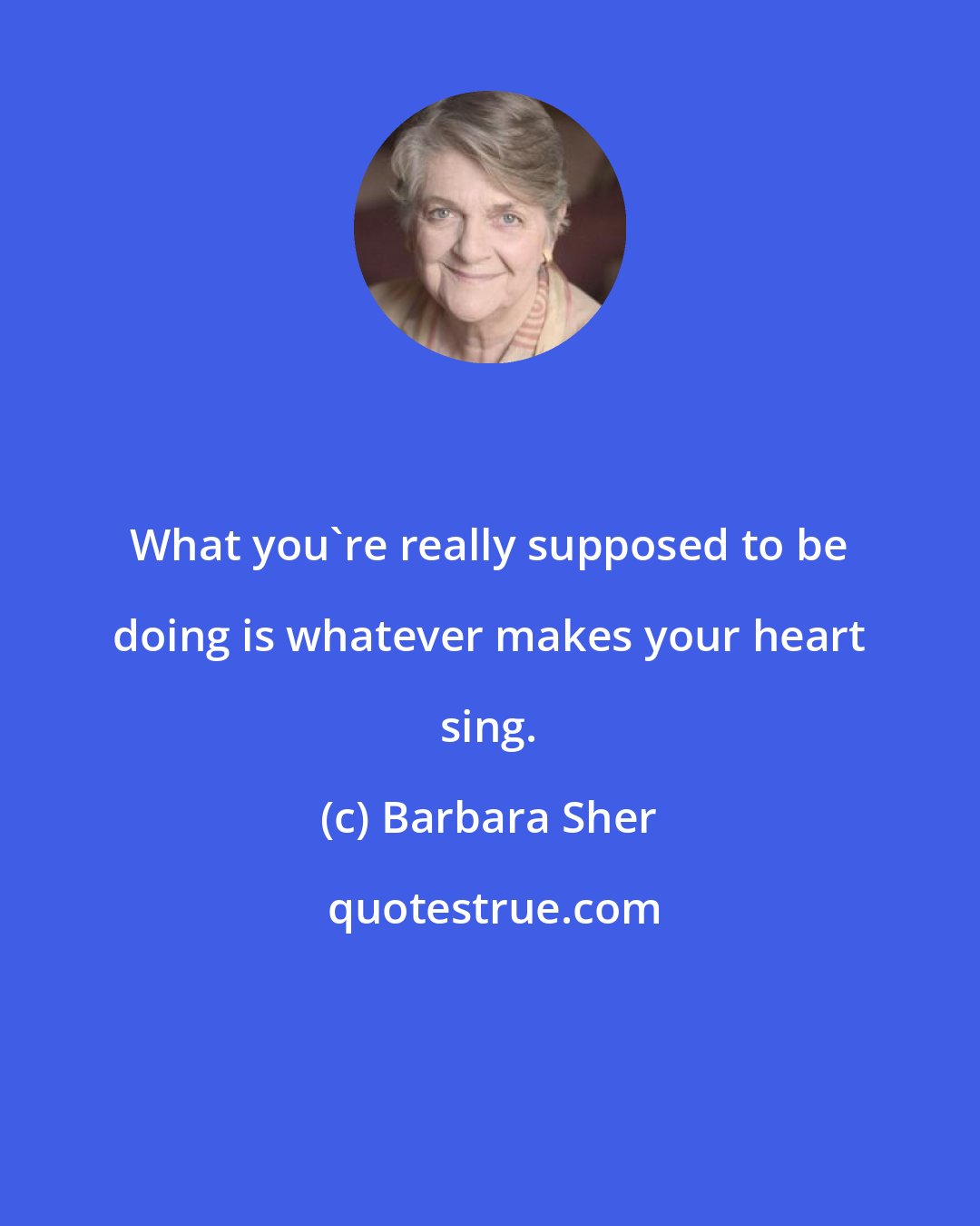 Barbara Sher: What you're really supposed to be doing is whatever makes your heart sing.