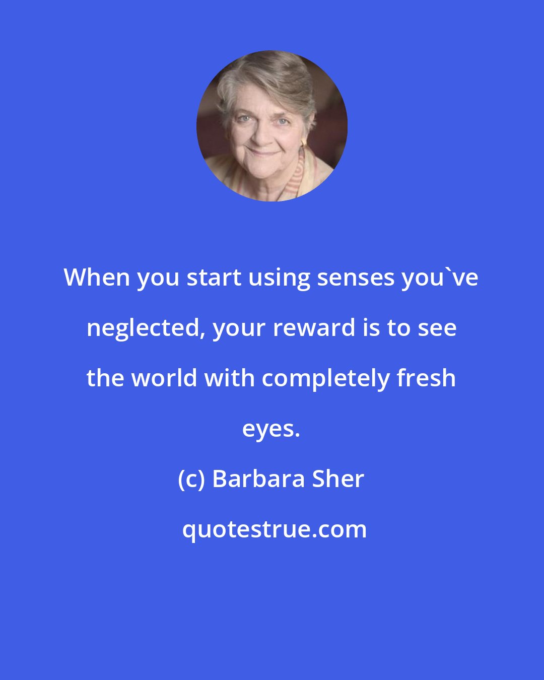Barbara Sher: When you start using senses you've neglected, your reward is to see the world with completely fresh eyes.