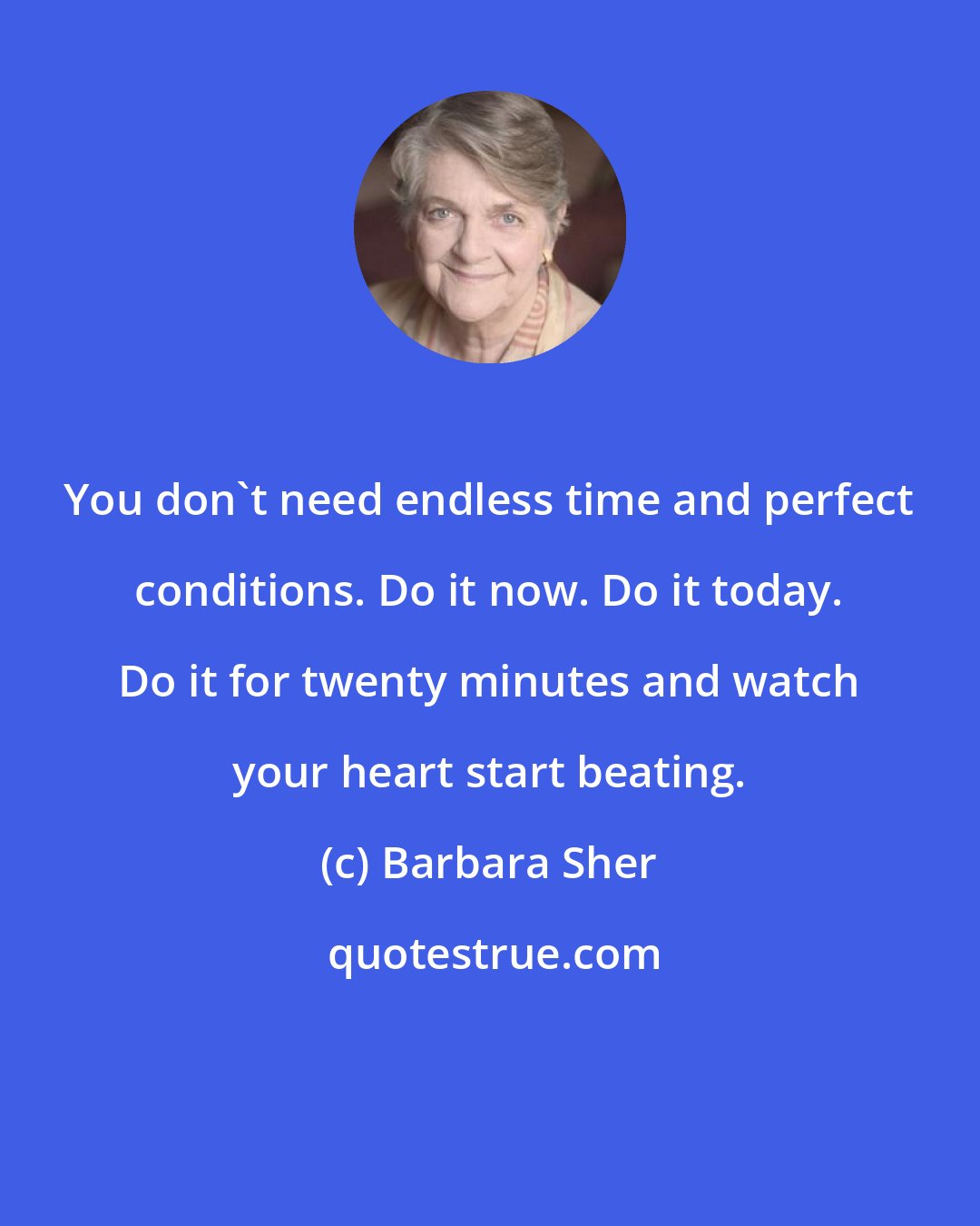 Barbara Sher: You don't need endless time and perfect conditions. Do it now. Do it today. Do it for twenty minutes and watch your heart start beating.