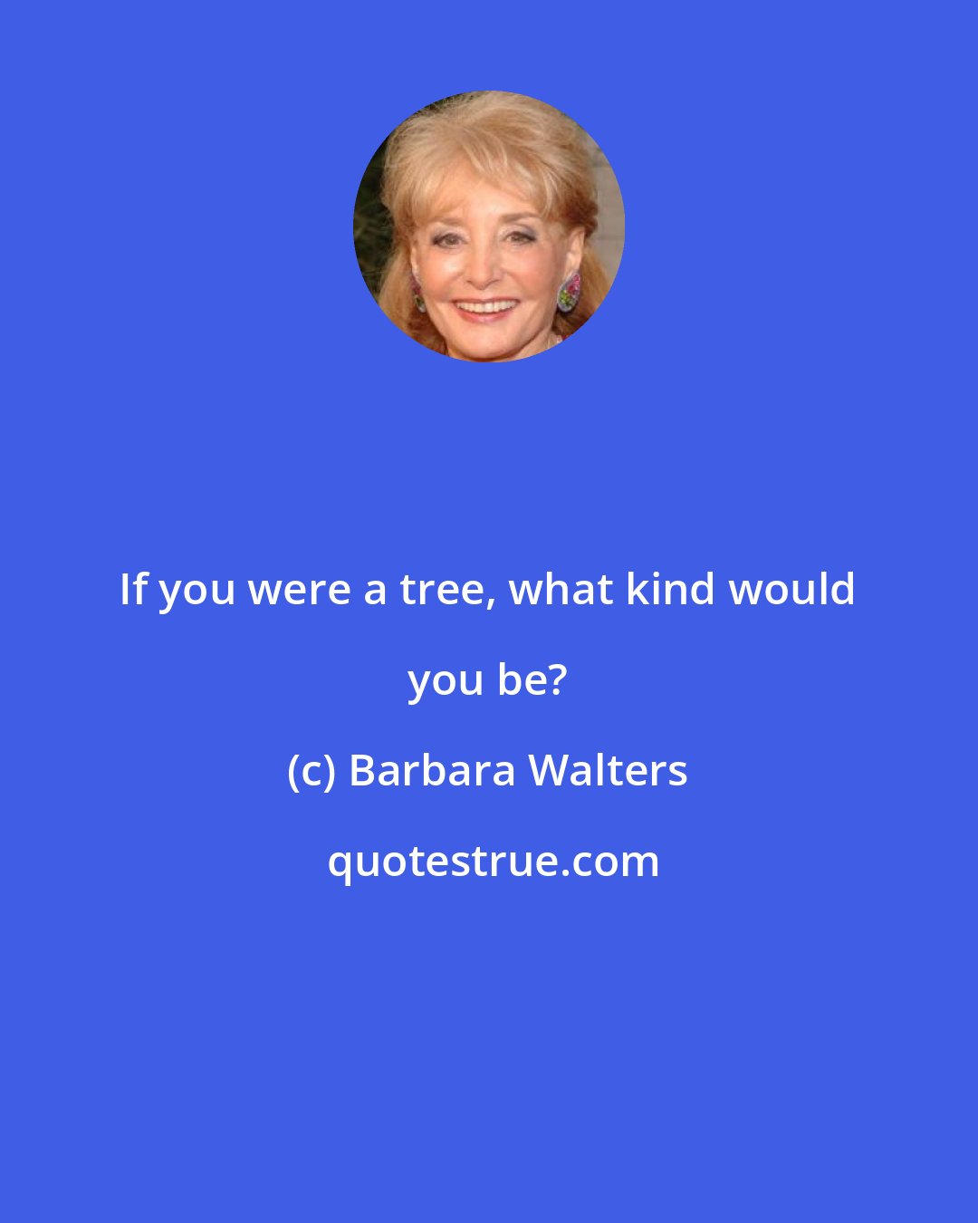 Barbara Walters: If you were a tree, what kind would you be?