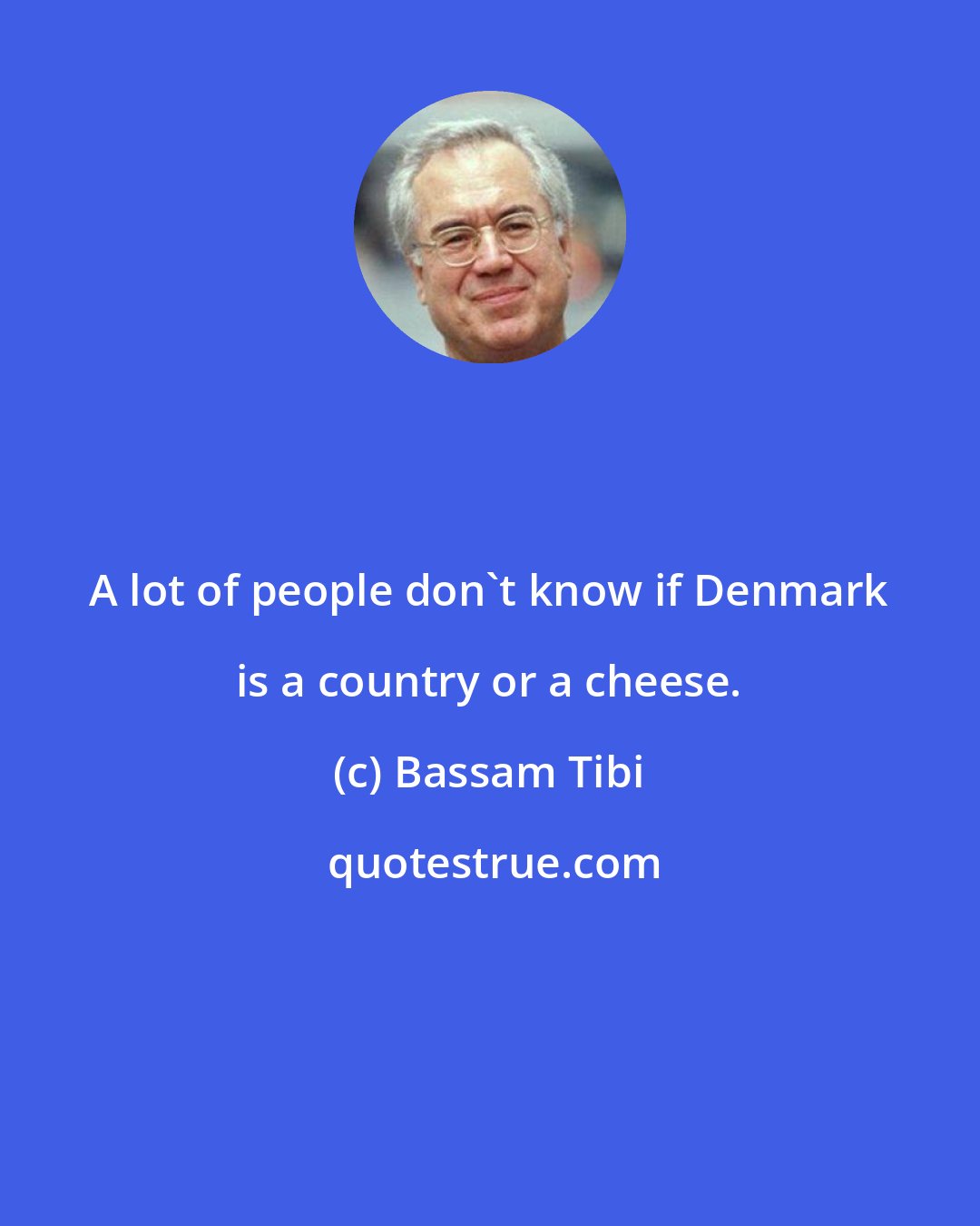 Bassam Tibi: A lot of people don't know if Denmark is a country or a cheese.