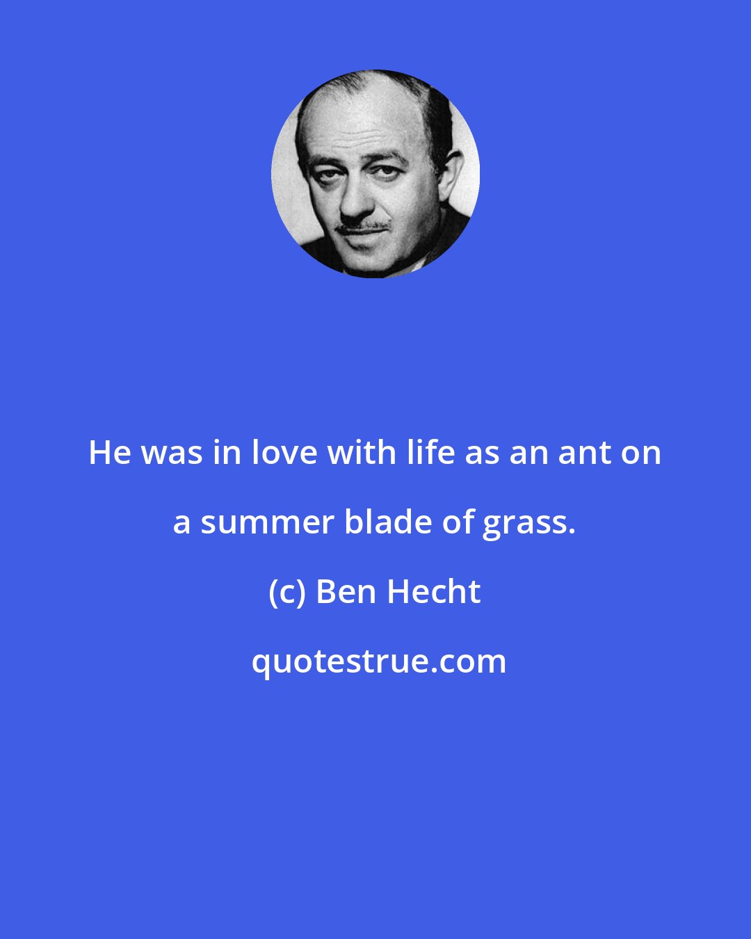 Ben Hecht: He was in love with life as an ant on a summer blade of grass.