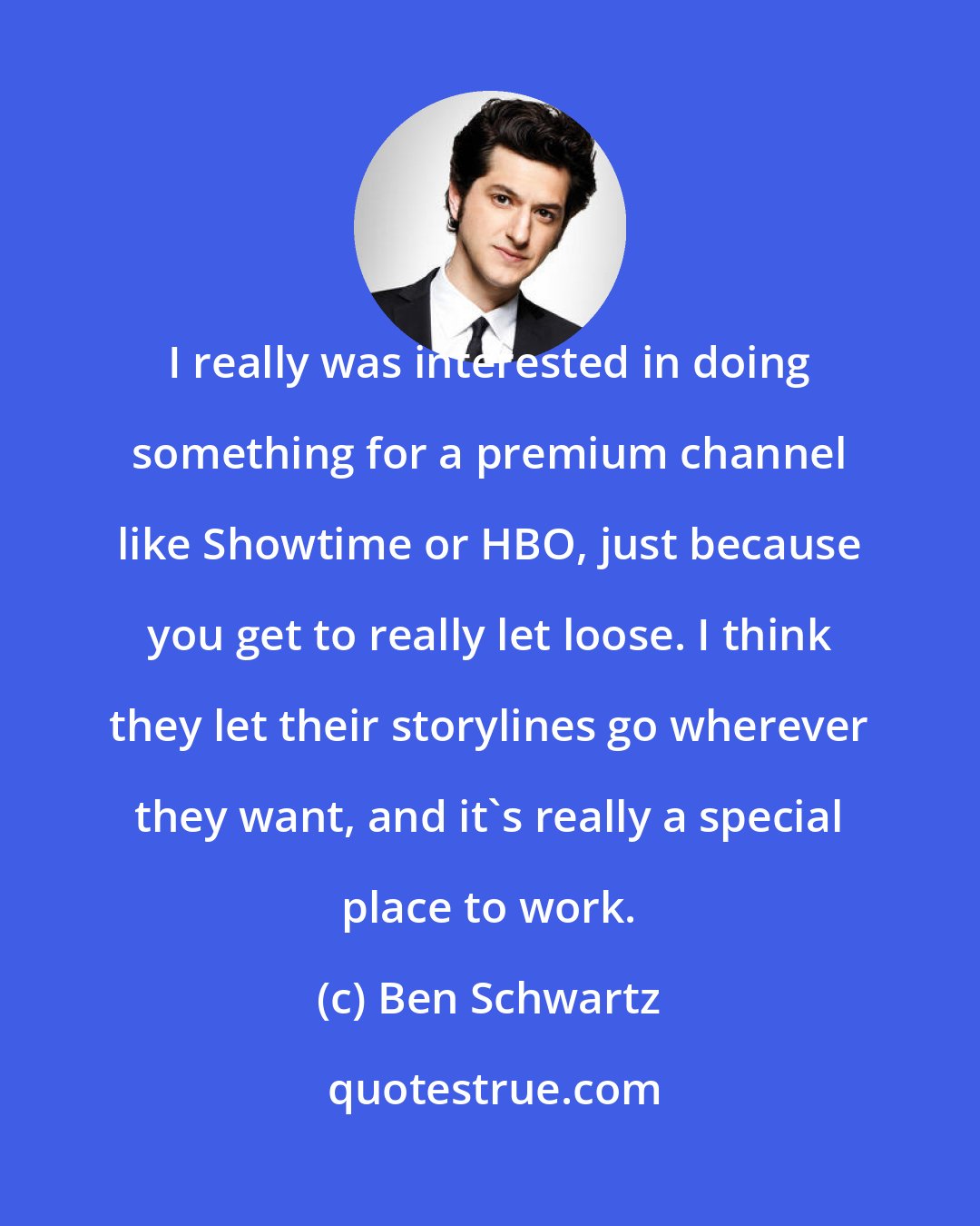 Ben Schwartz: I really was interested in doing something for a premium channel like Showtime or HBO, just because you get to really let loose. I think they let their storylines go wherever they want, and it's really a special place to work.