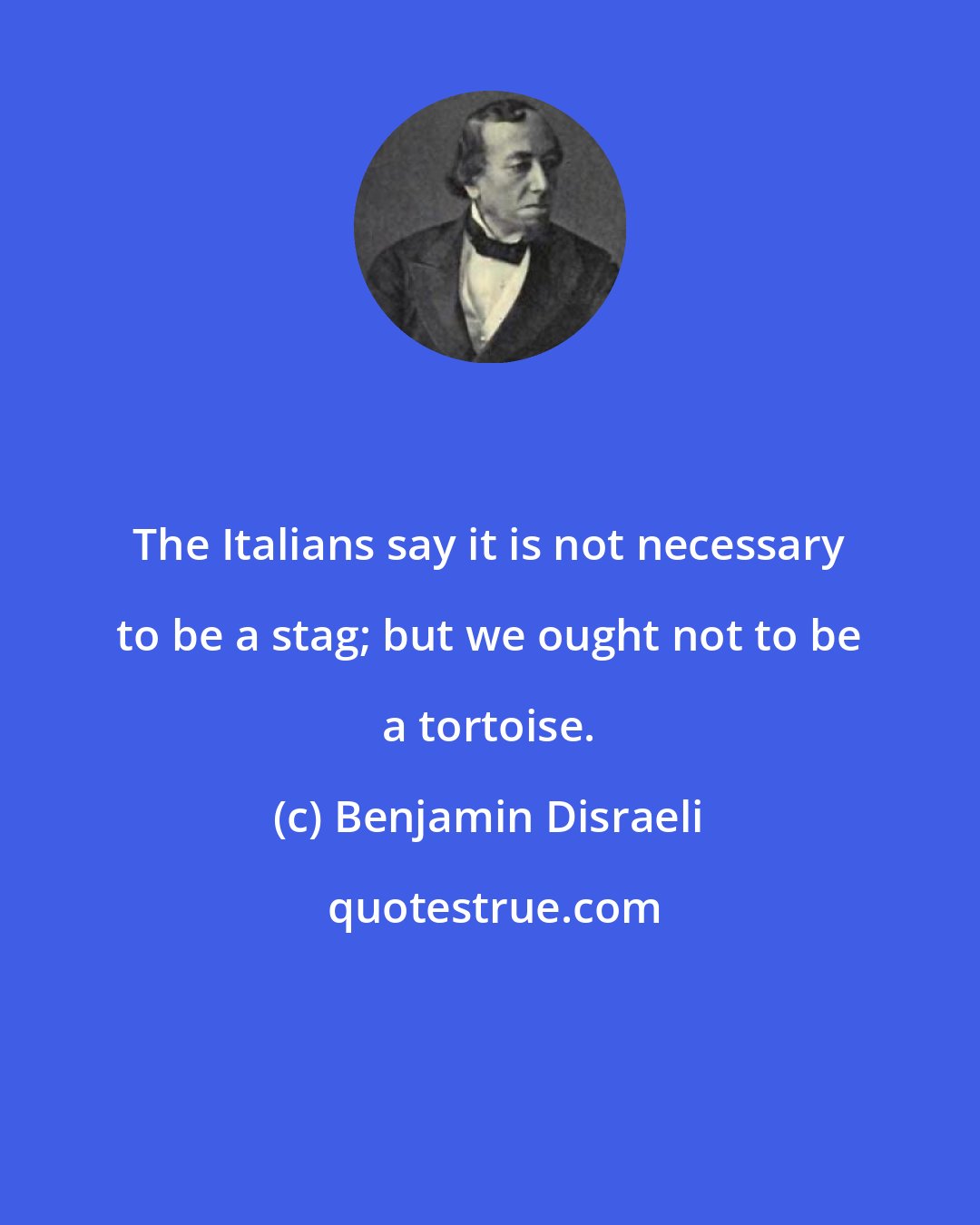 Benjamin Disraeli: The Italians say it is not necessary to be a stag; but we ought not to be a tortoise.