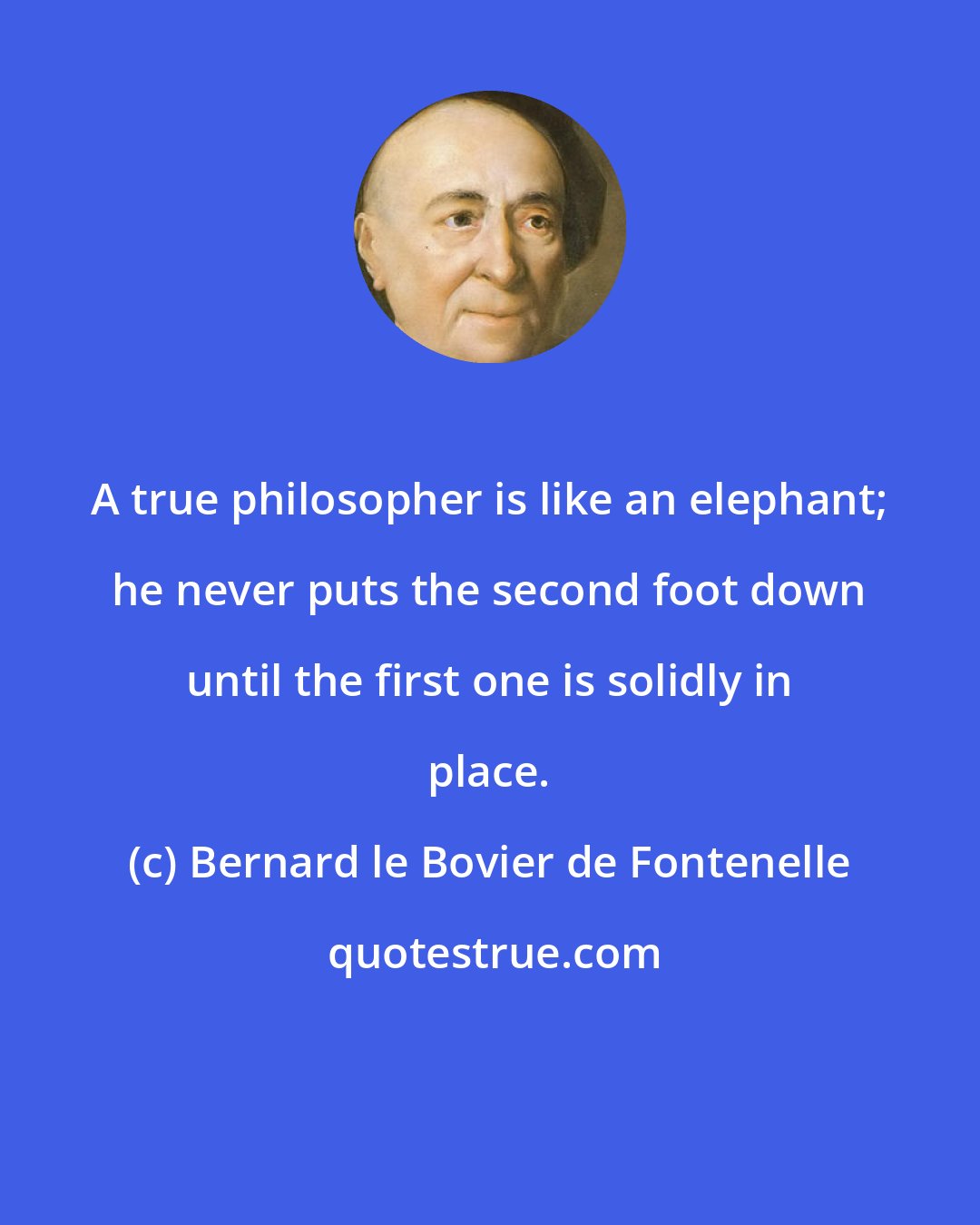 Bernard le Bovier de Fontenelle: A true philosopher is like an elephant; he never puts the second foot down until the first one is solidly in place.