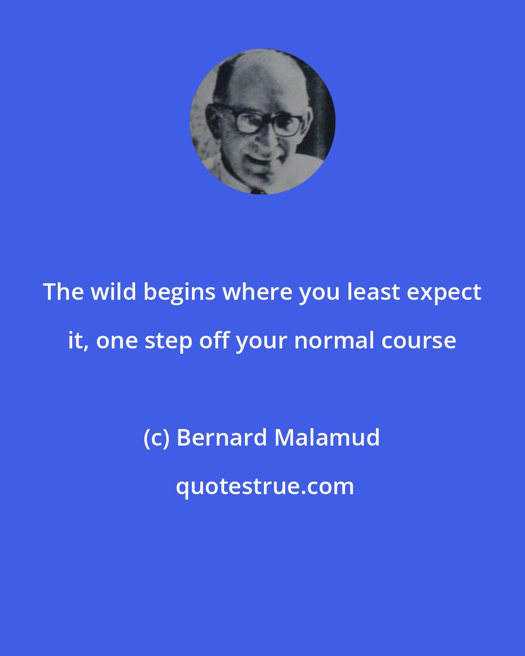 Bernard Malamud: The wild begins where you least expect it, one step off your normal course