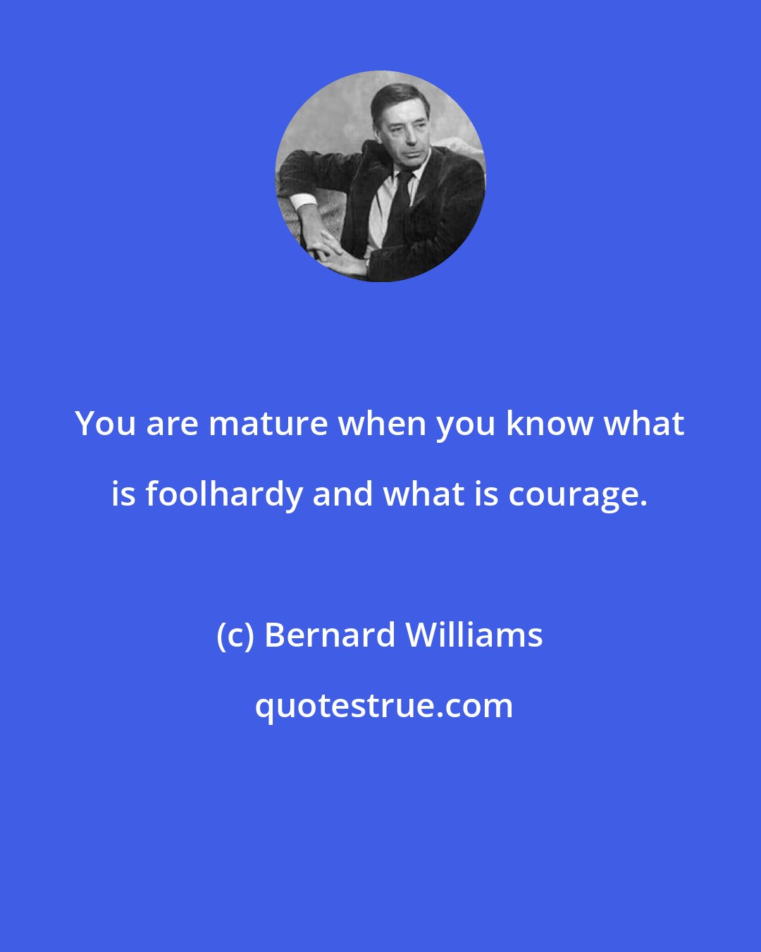 Bernard Williams: You are mature when you know what is foolhardy and what is courage.