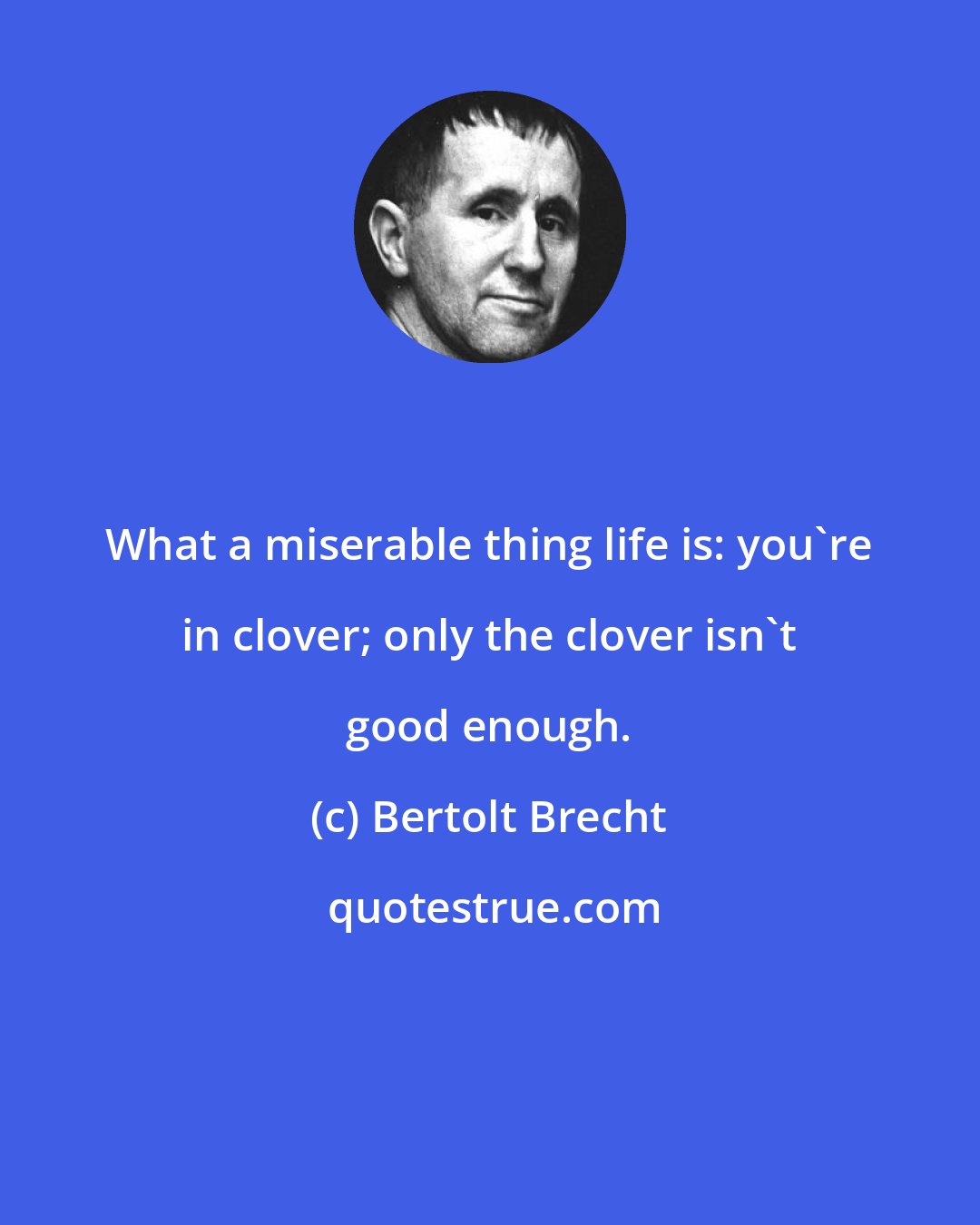 Bertolt Brecht: What a miserable thing life is: you're in clover; only the clover isn't good enough.