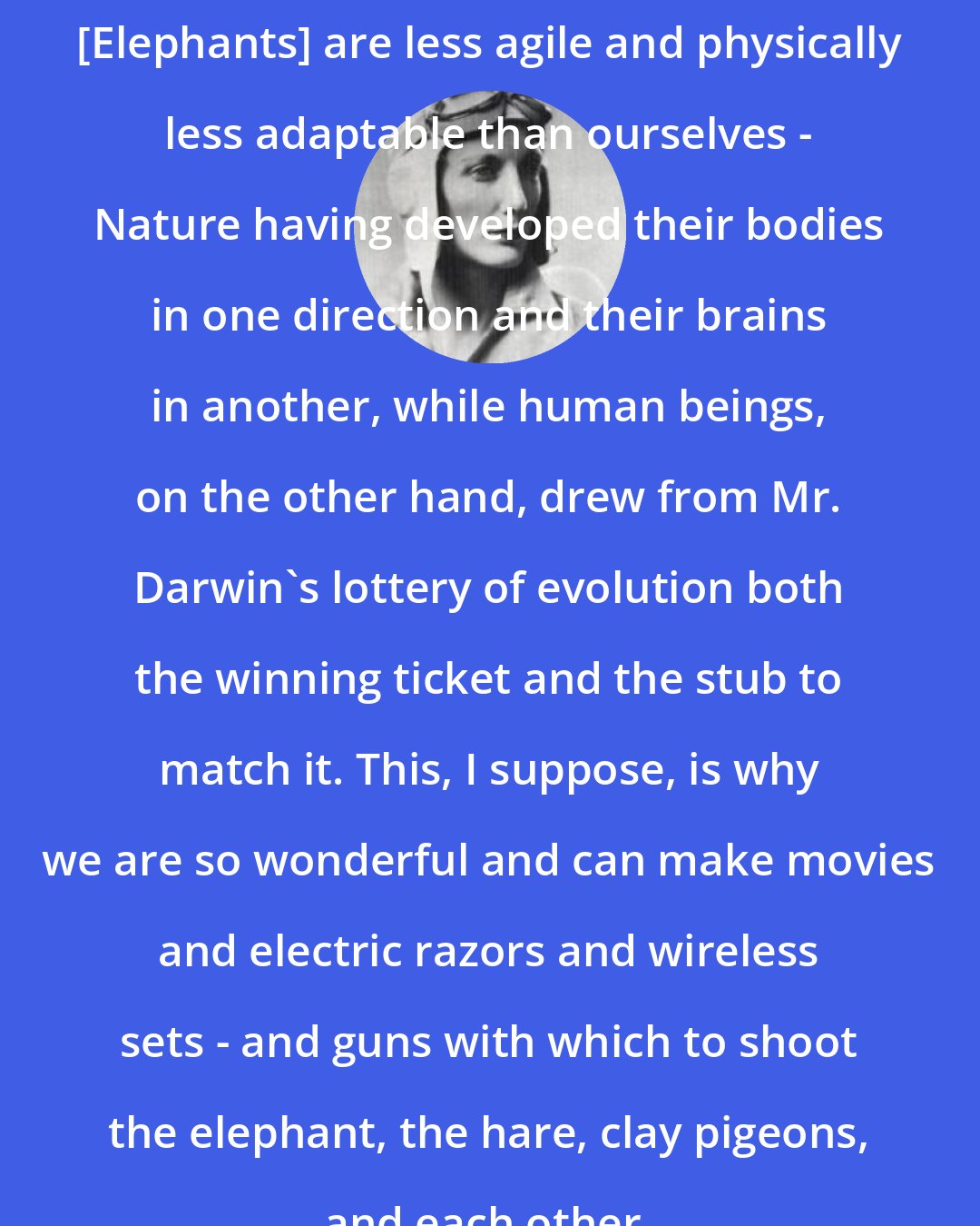 Beryl Markham: [Elephants] are less agile and physically less adaptable than ourselves - Nature having developed their bodies in one direction and their brains in another, while human beings, on the other hand, drew from Mr. Darwin's lottery of evolution both the winning ticket and the stub to match it. This, I suppose, is why we are so wonderful and can make movies and electric razors and wireless sets - and guns with which to shoot the elephant, the hare, clay pigeons, and each other.