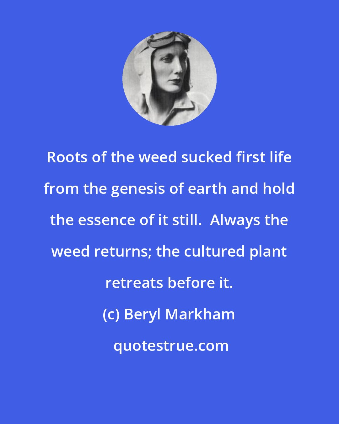 Beryl Markham: Roots of the weed sucked first life from the genesis of earth and hold the essence of it still.  Always the weed returns; the cultured plant retreats before it.