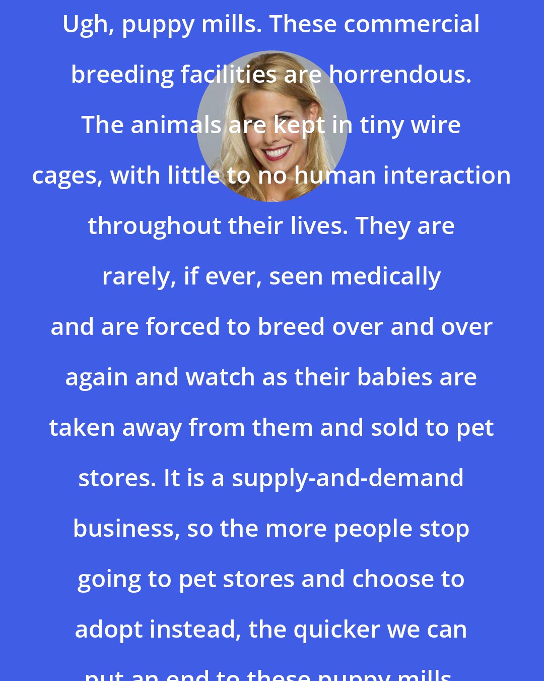 Beth Ostrosky Stern: Ugh, puppy mills. These commercial breeding facilities are horrendous. The animals are kept in tiny wire cages, with little to no human interaction throughout their lives. They are rarely, if ever, seen medically and are forced to breed over and over again and watch as their babies are taken away from them and sold to pet stores. It is a supply-and-demand business, so the more people stop going to pet stores and choose to adopt instead, the quicker we can put an end to these puppy mills.