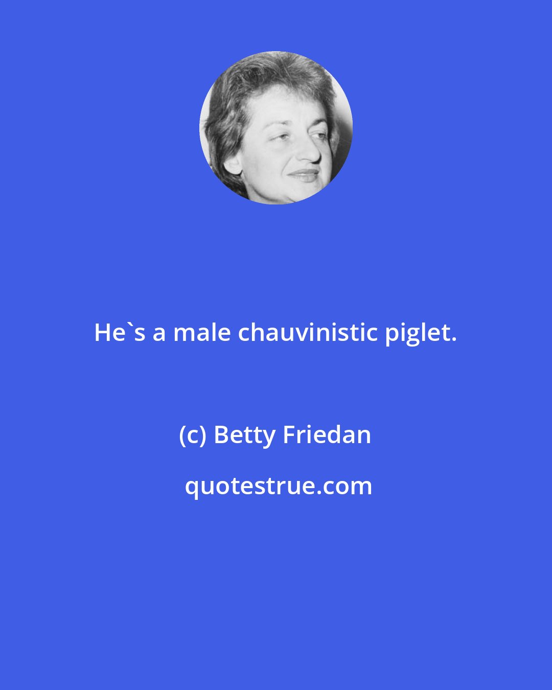 Betty Friedan: He's a male chauvinistic piglet.