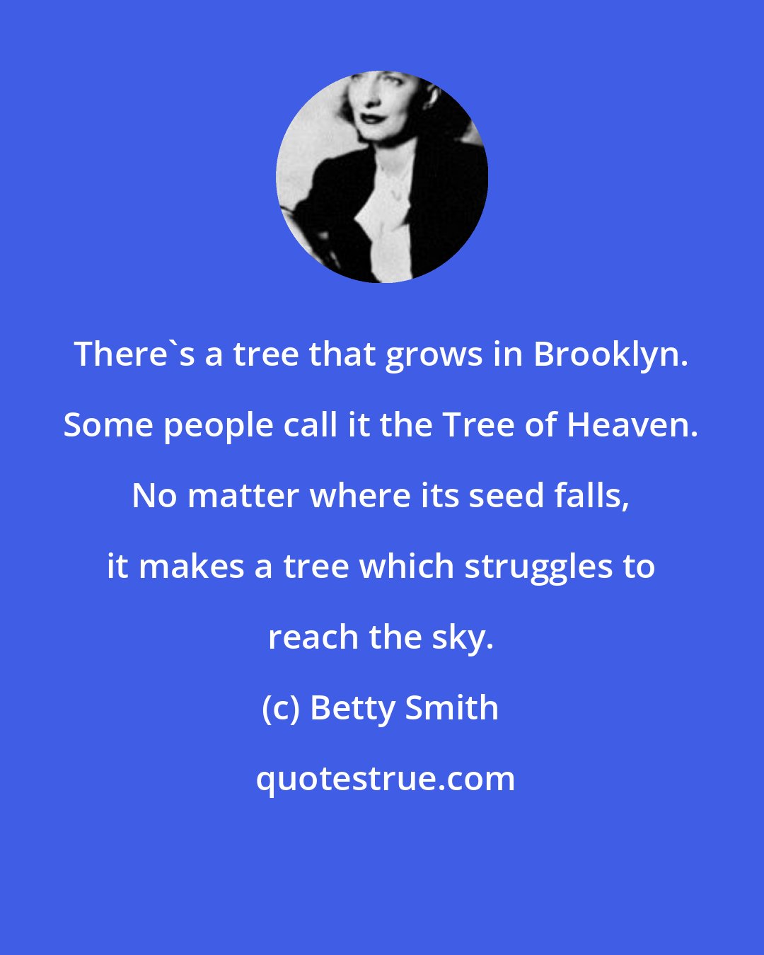 Betty Smith: There's a tree that grows in Brooklyn. Some people call it the Tree of Heaven. No matter where its seed falls, it makes a tree which struggles to reach the sky.