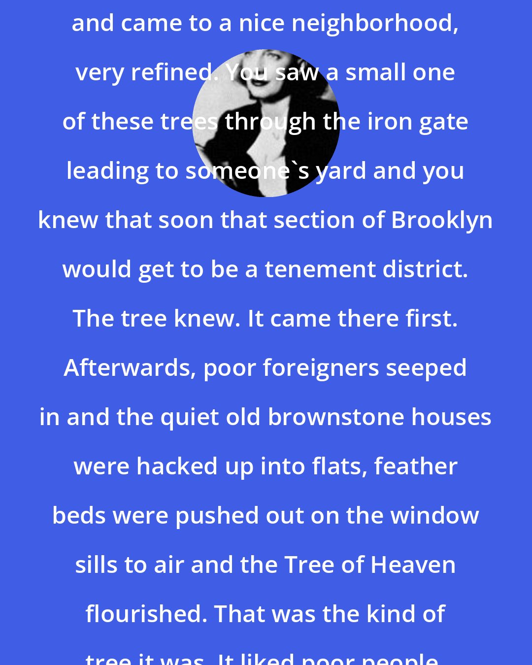 Betty Smith: You took a walk on a Sunday afternoon and came to a nice neighborhood, very refined. You saw a small one of these trees through the iron gate leading to someone's yard and you knew that soon that section of Brooklyn would get to be a tenement district. The tree knew. It came there first. Afterwards, poor foreigners seeped in and the quiet old brownstone houses were hacked up into flats, feather beds were pushed out on the window sills to air and the Tree of Heaven flourished. That was the kind of tree it was. It liked poor people.