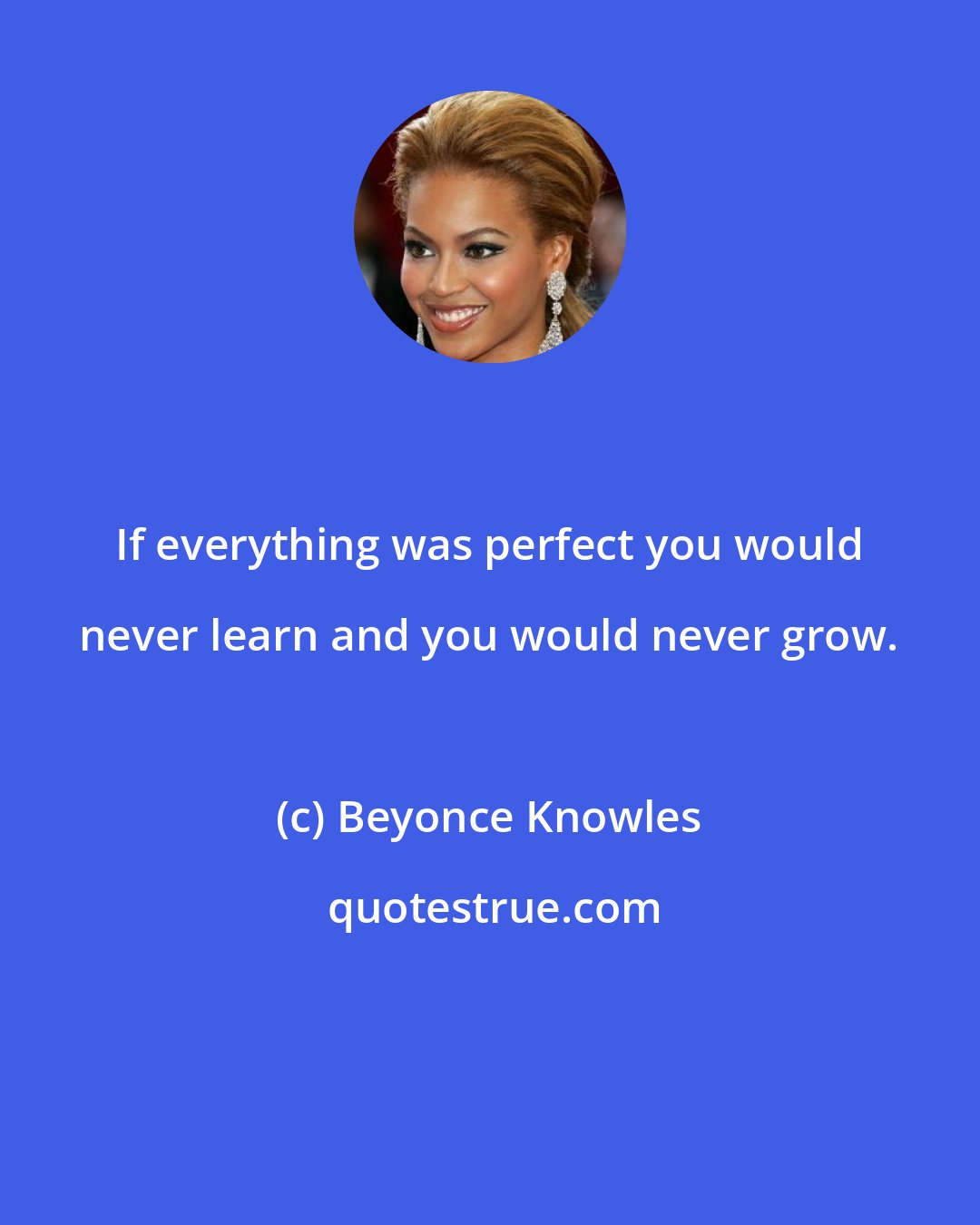 Beyonce Knowles: If everything was perfect you would never learn and you would never grow.