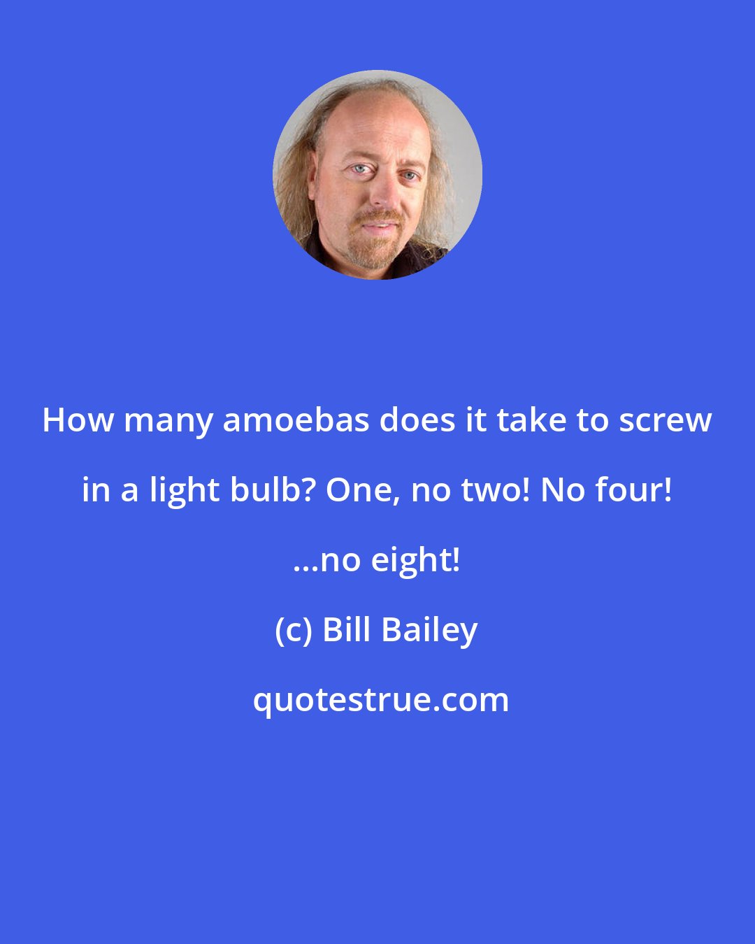 Bill Bailey: How many amoebas does it take to screw in a light bulb? One, no two! No four! ...no eight!