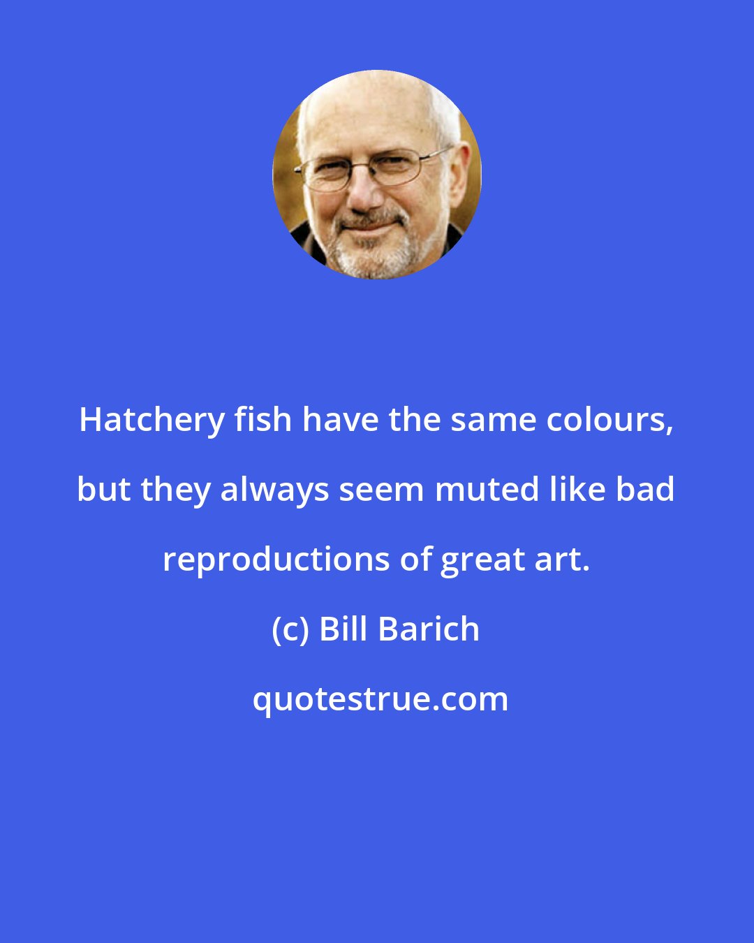 Bill Barich: Hatchery fish have the same colours, but they always seem muted like bad reproductions of great art.